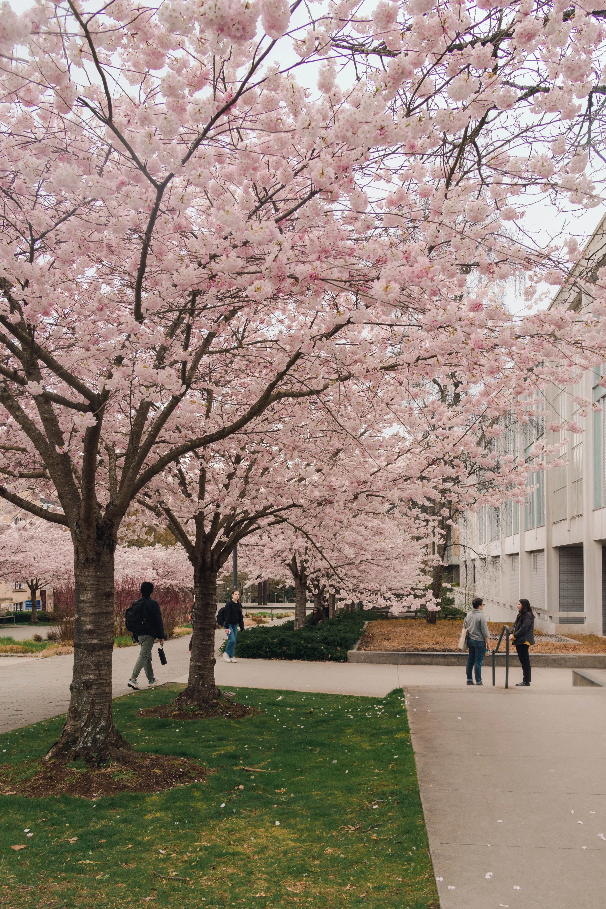How to Make the Most of Your Spring 2025 SAT/ACT Prep