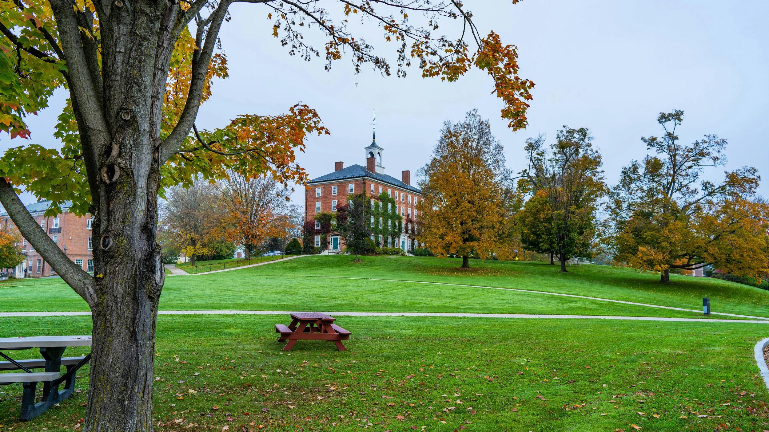 Williams College Applicants Increase: Class of '28