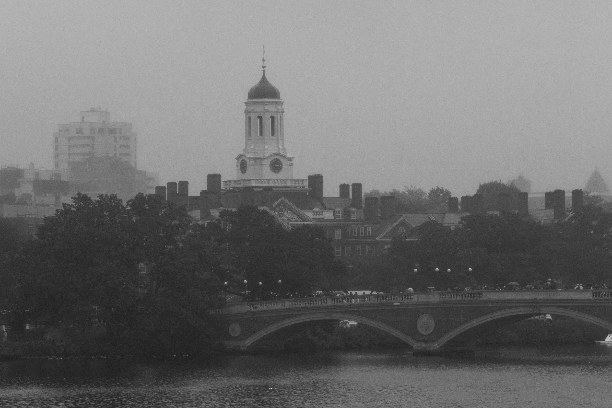 Harvard Applications Plummet: Early Action Results for Class of '28