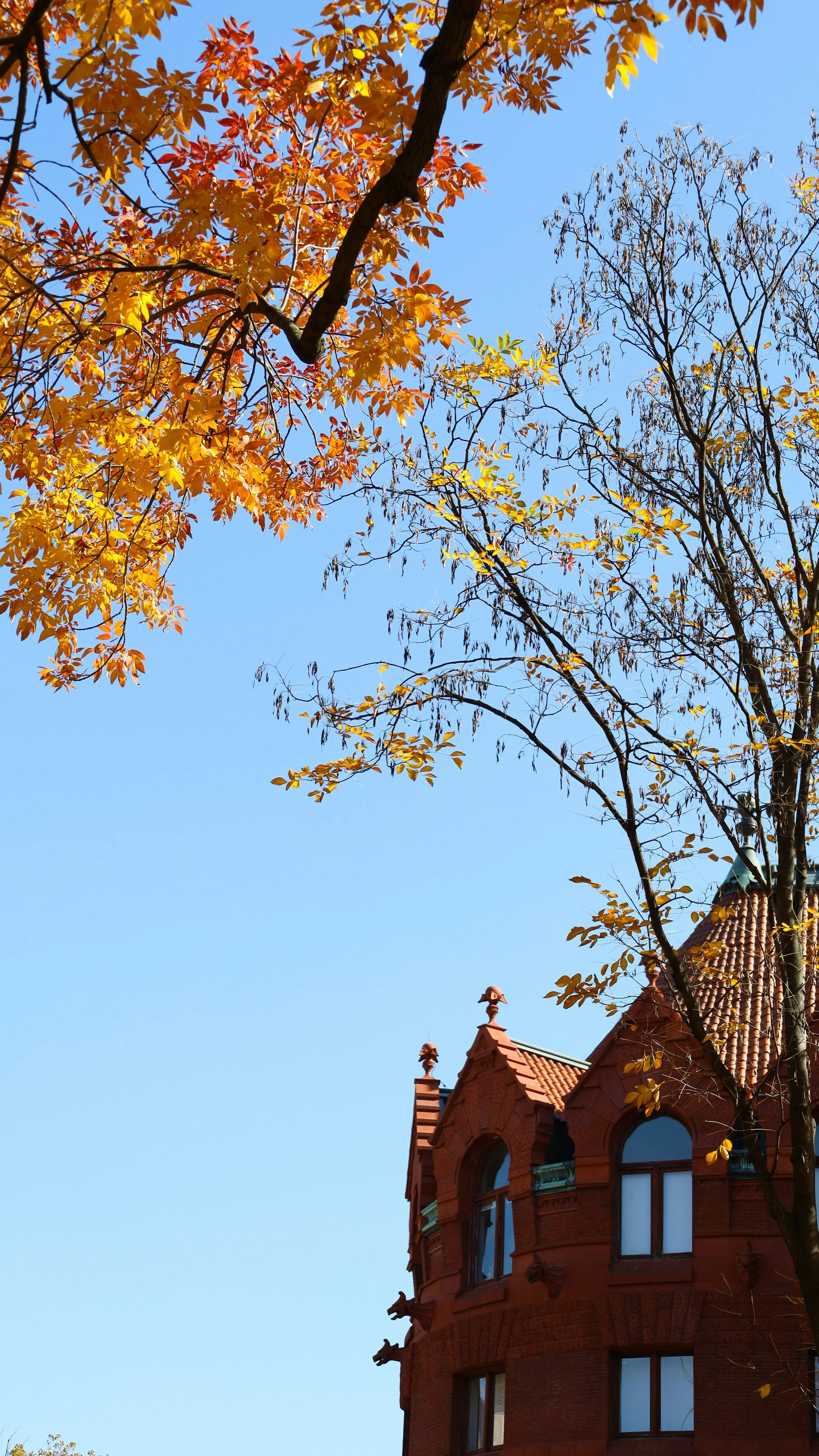 University of Pennsylvania: An Educational Behemoth With Something for Everyone