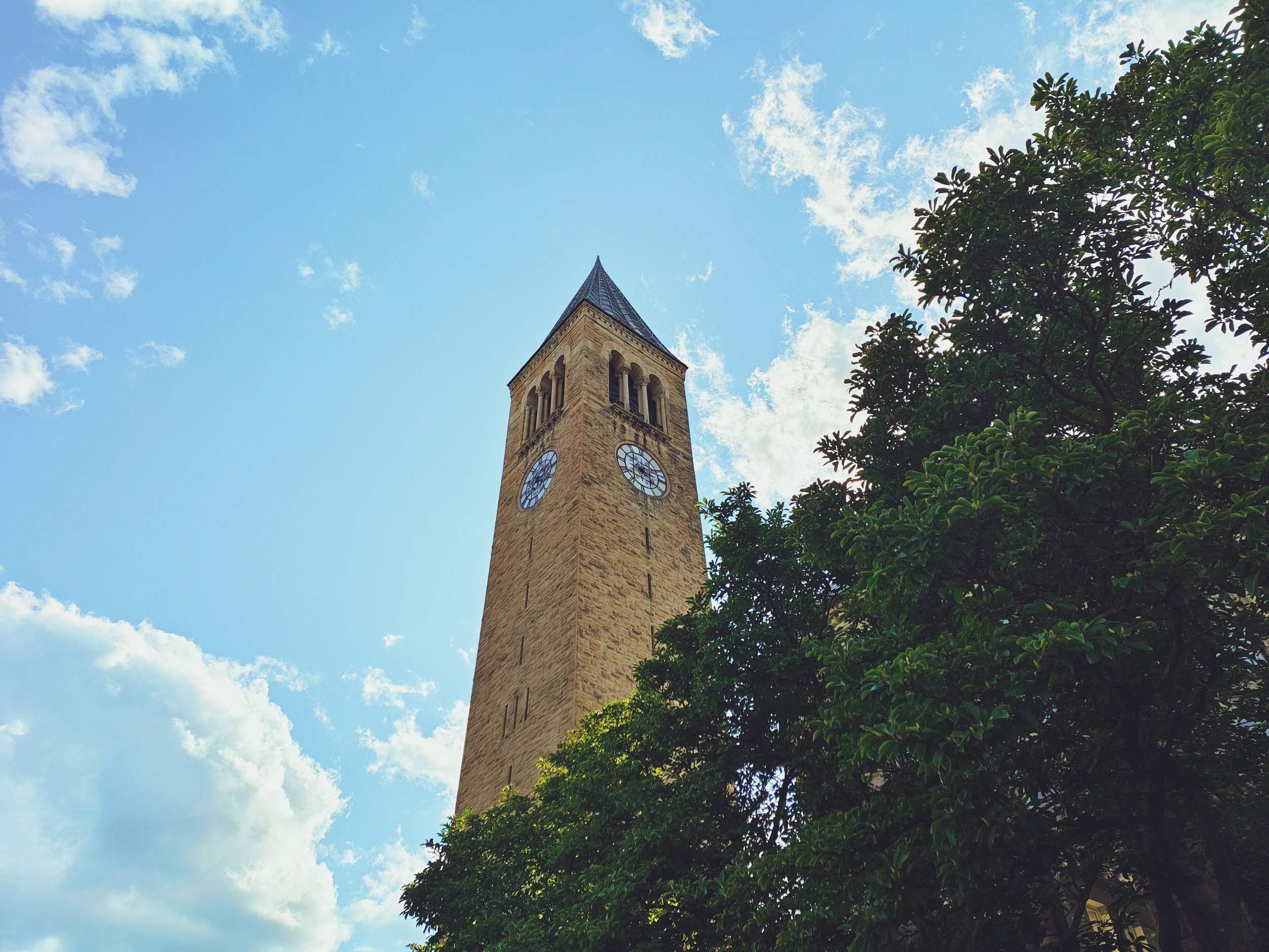 Cornell Supplemental Essay Prompts