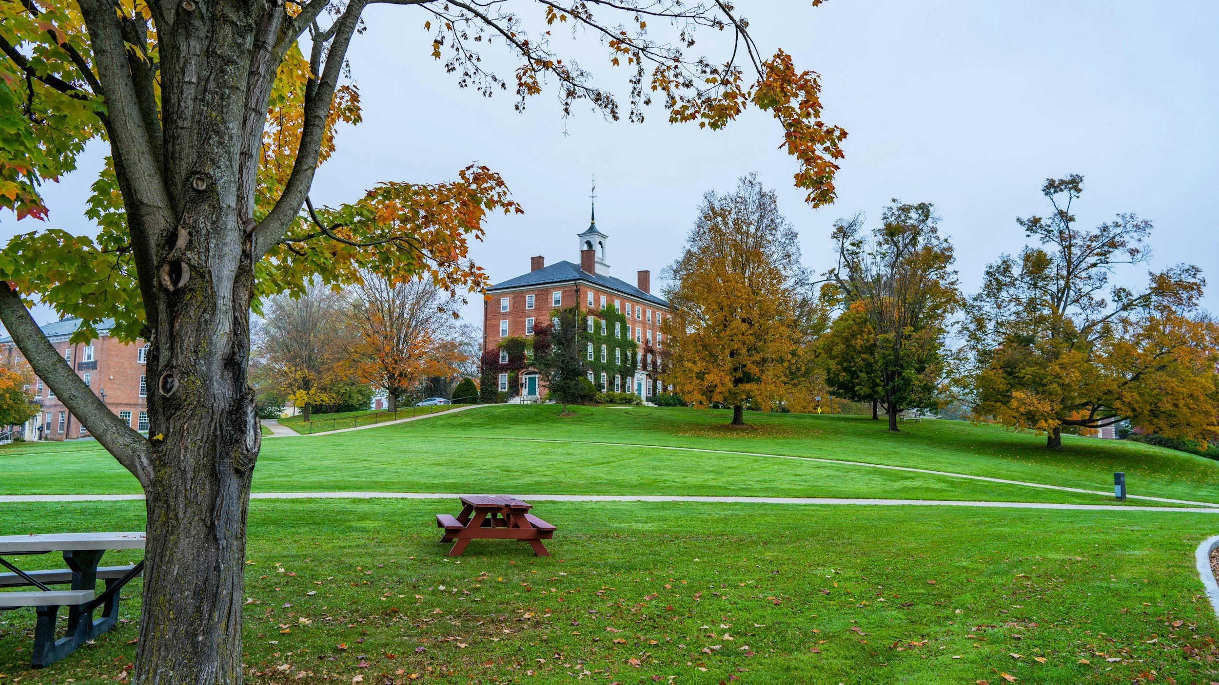Williams College Class of '27 Admissions Roundup