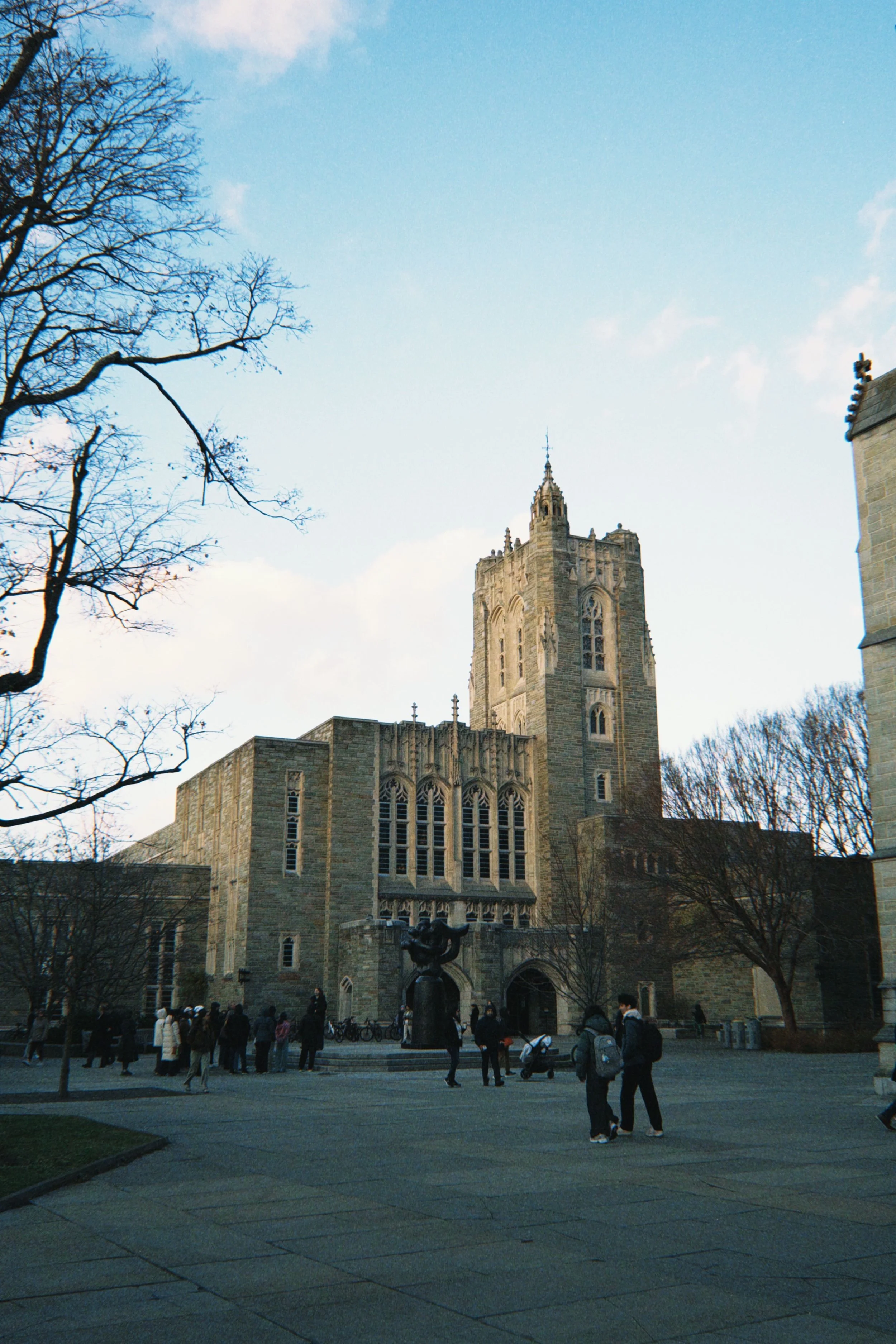 Fewer Deferments At Princeton than Harvard and Yale