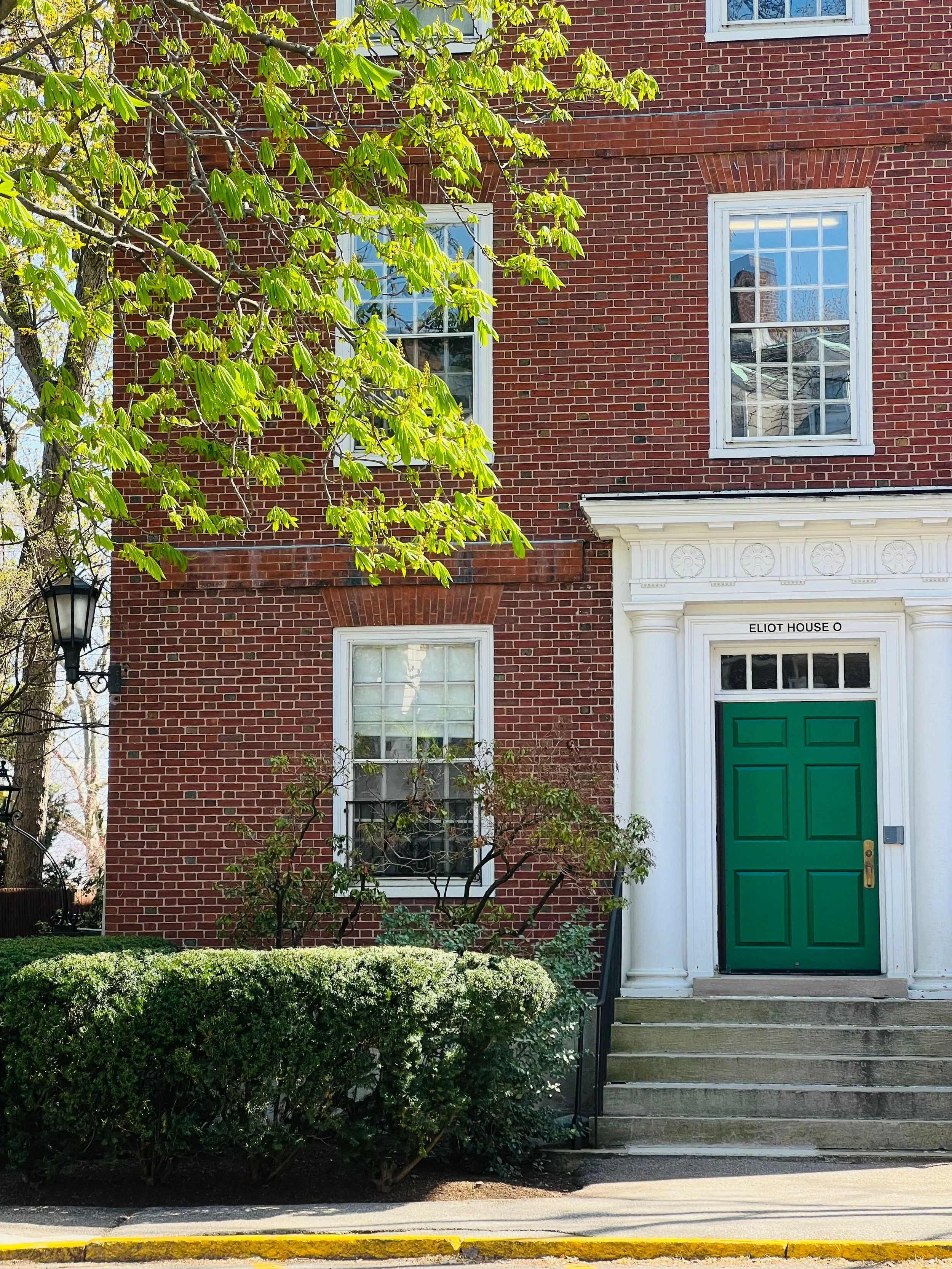 Harvard Is Still the Dream—So What Does That Tell You?