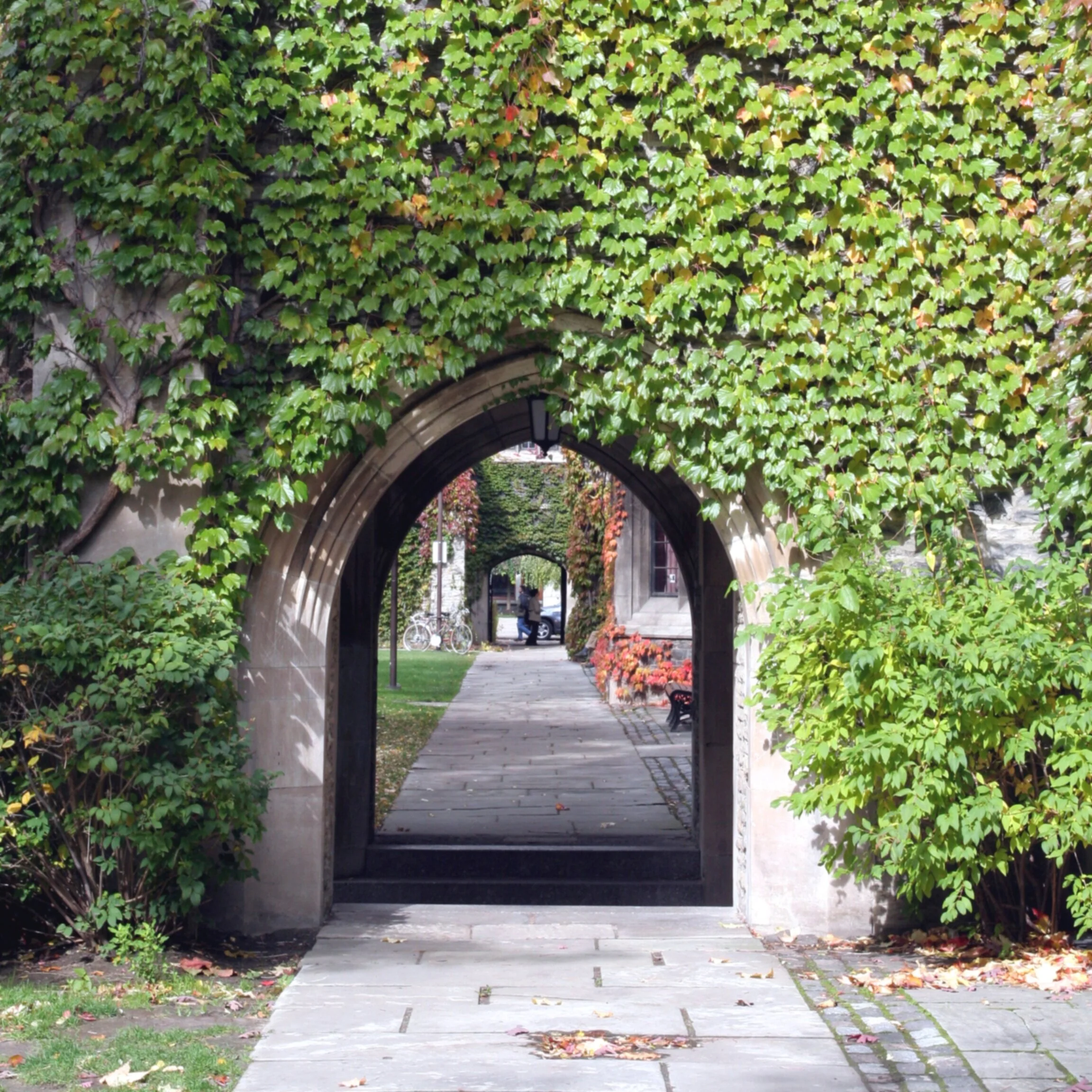 What is Ivy Day? — Ivy Link