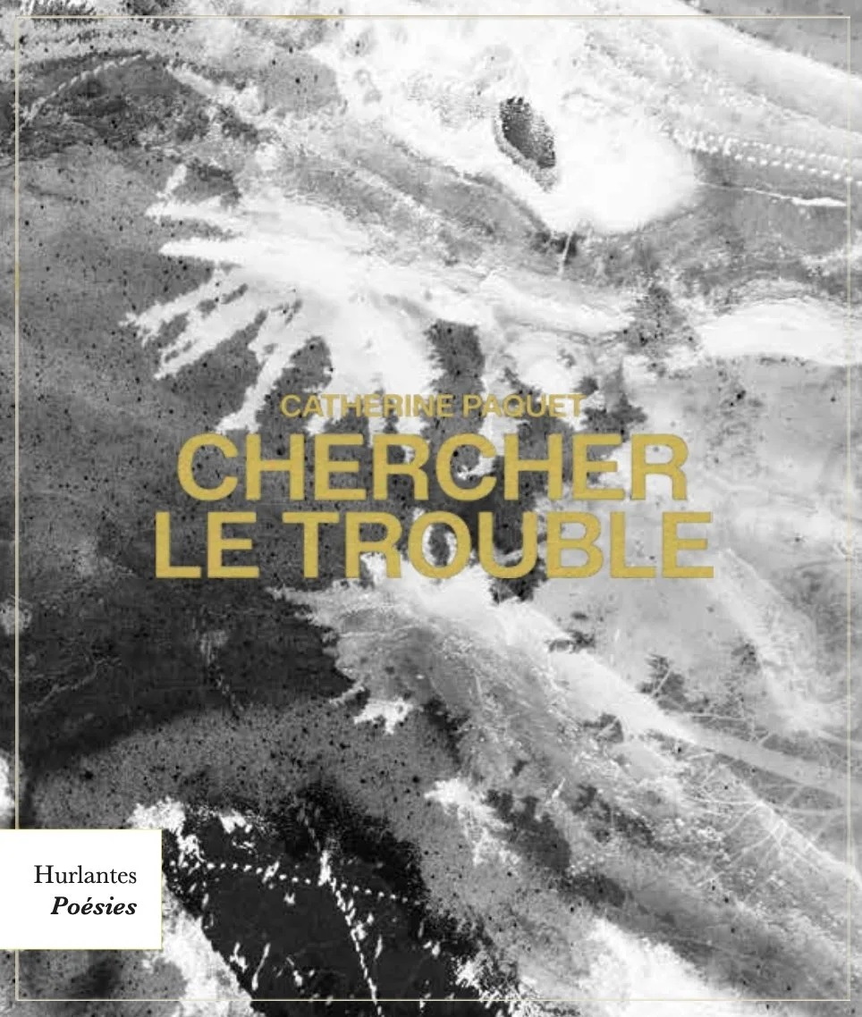 Chercherletrouble.jpg