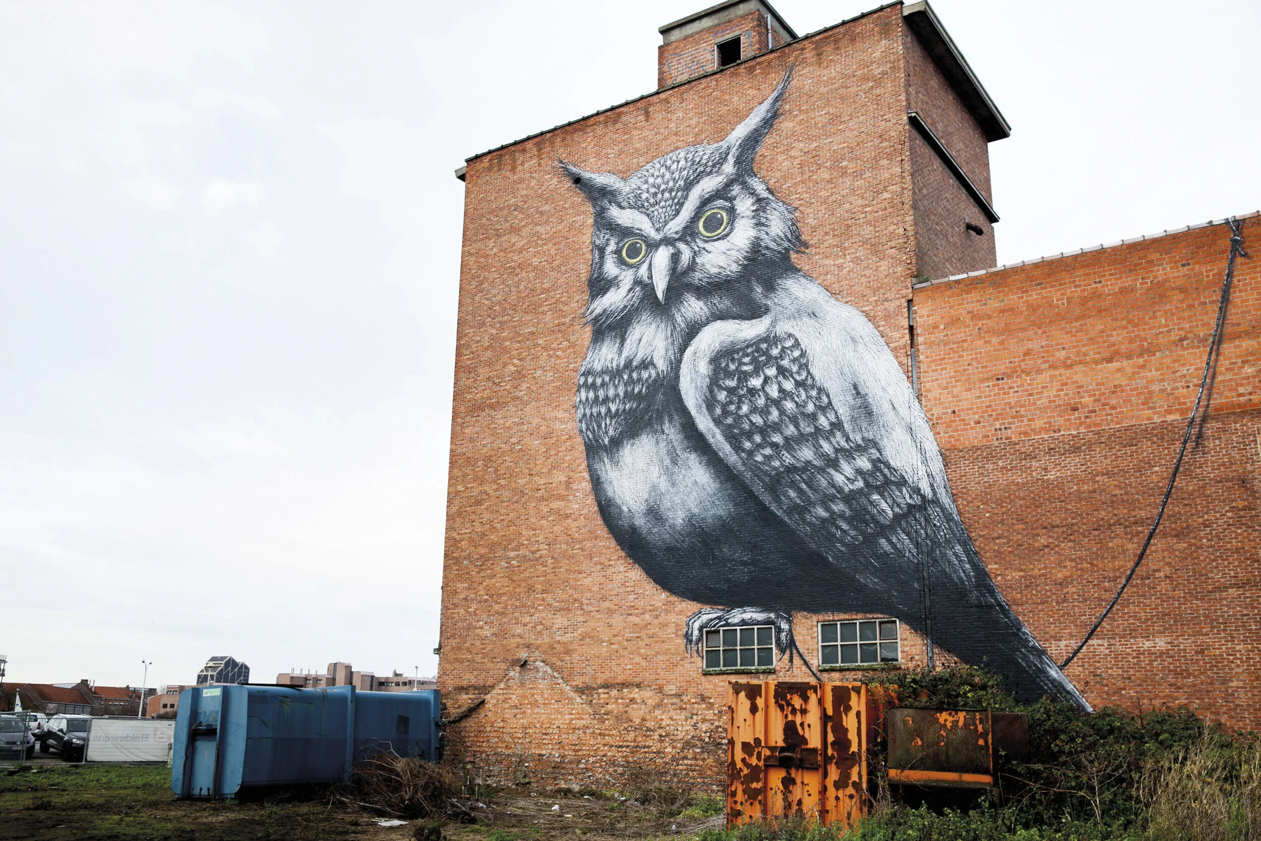 ROA-2.jpg