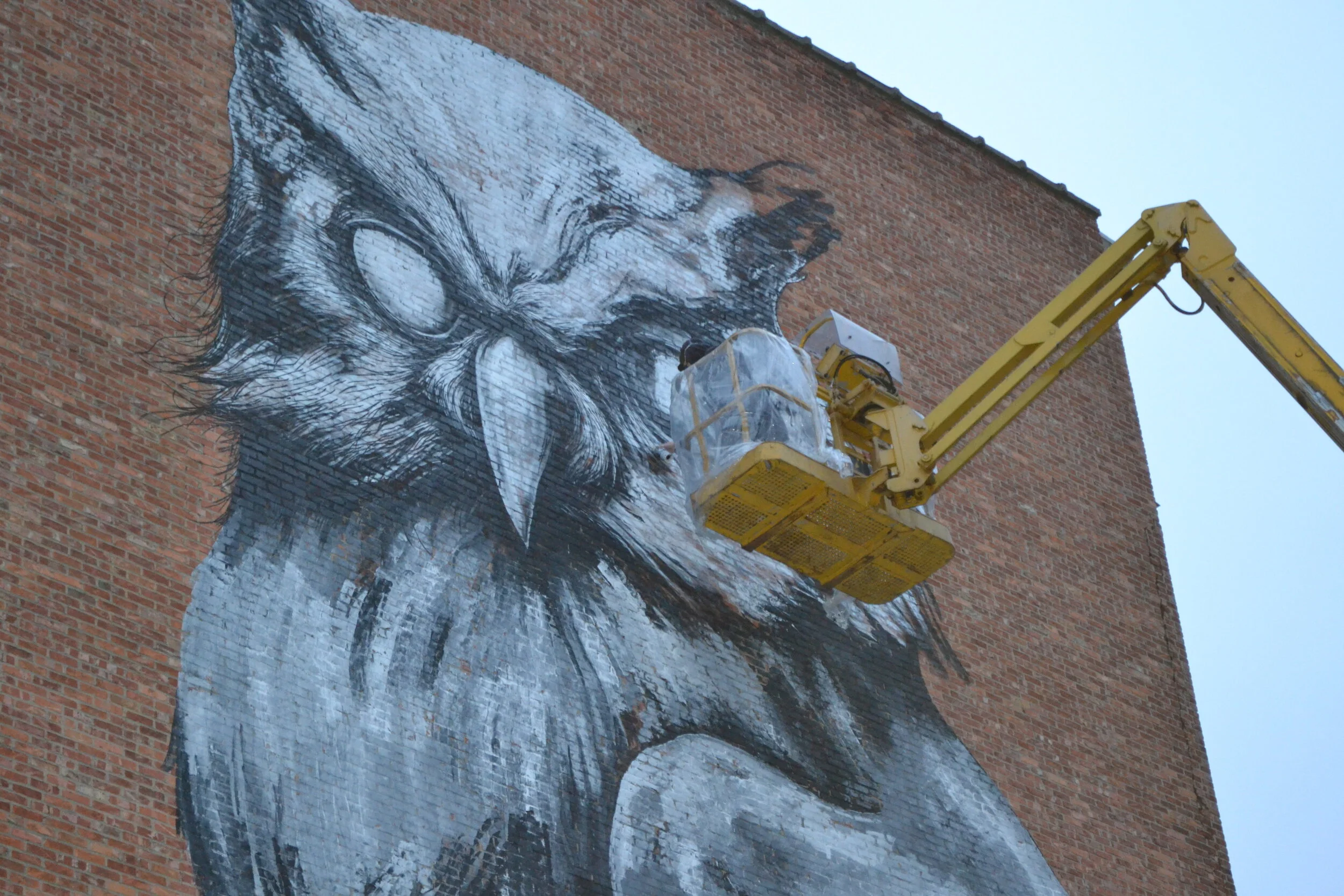 other perspective 6.JPG