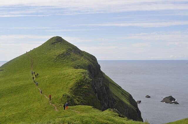 #nature #mindfulness #meditation #destress #authenticity #pilgrim #hiking #camping #travel #explore #adventure venture #wilderness #faroeislands #sense #smell #listen #touch #presence #now #stayinthismoment moment #hereandnow #awareness