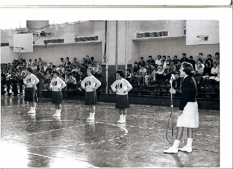 541612034.852496.jpg