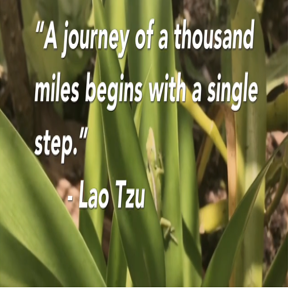 Anela's Eye:  Do SMALL steps make a BIG difference?