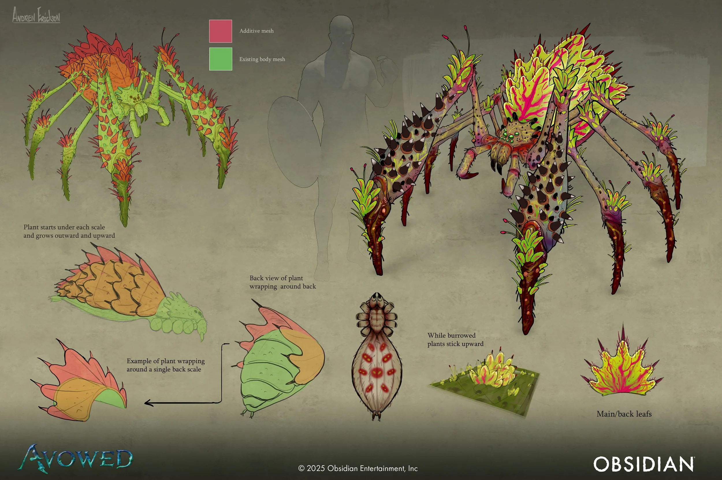 7_Wood_Crawler copy.jpg