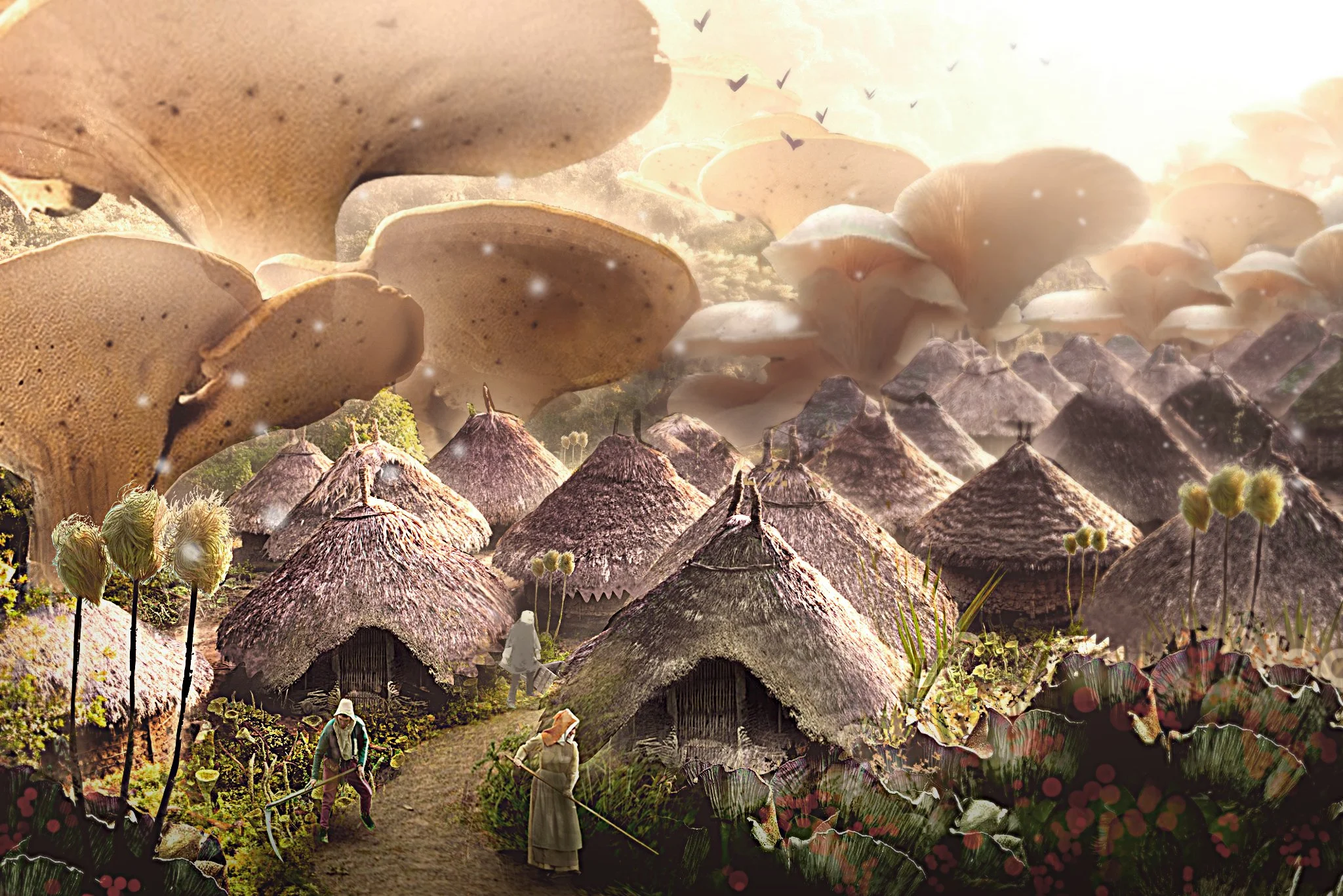 homes_in_fungus-Recovered.jpg