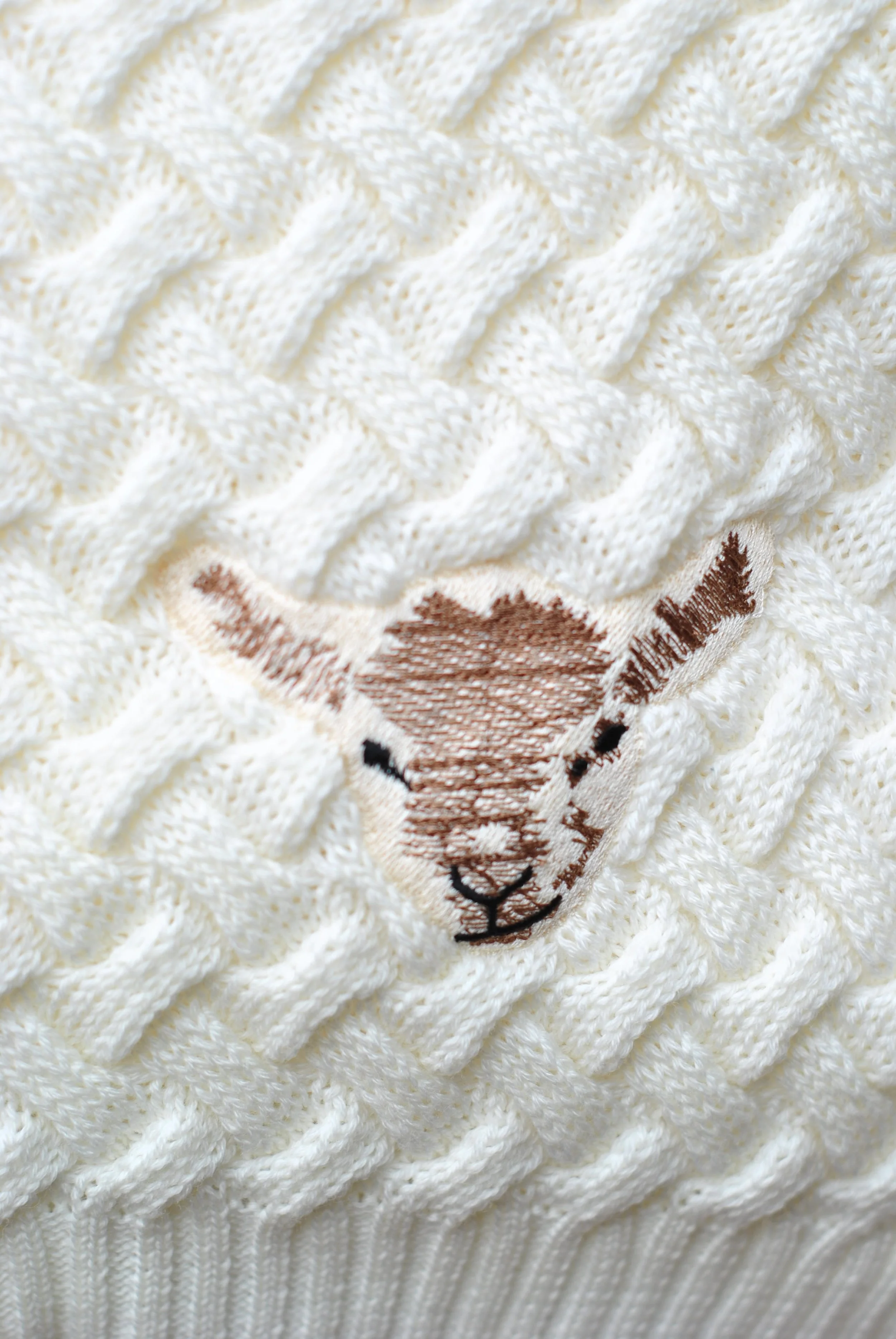 baby blanket 6.JPG