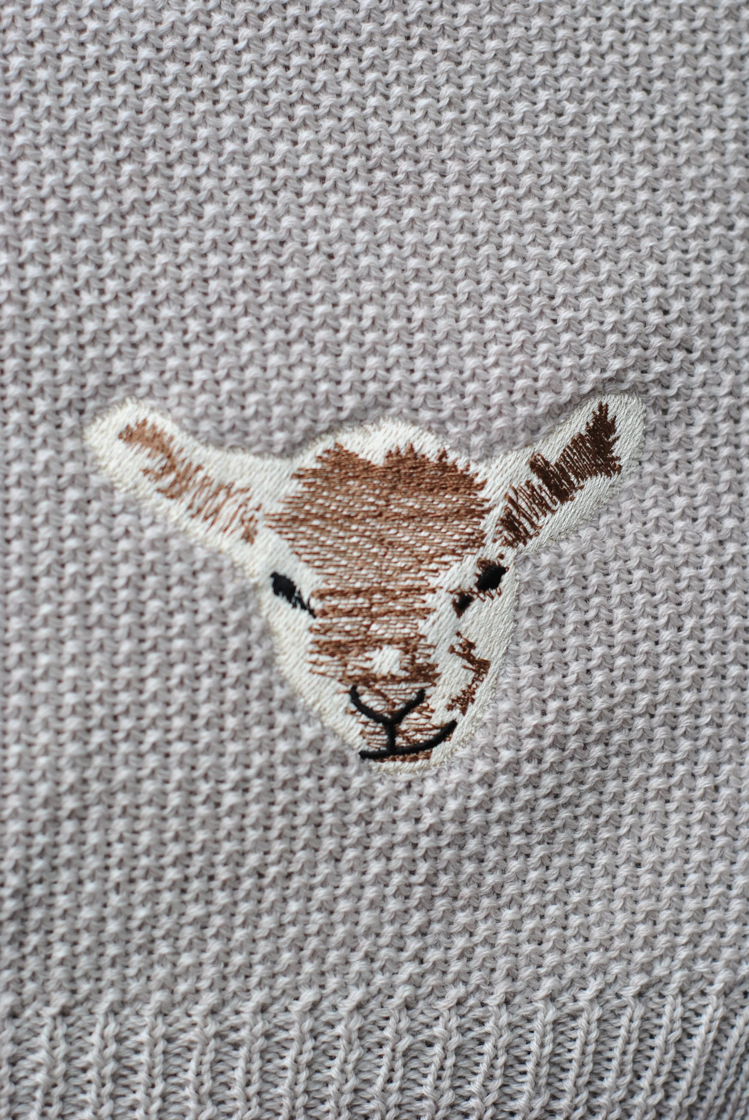 baby blanket 4.JPG