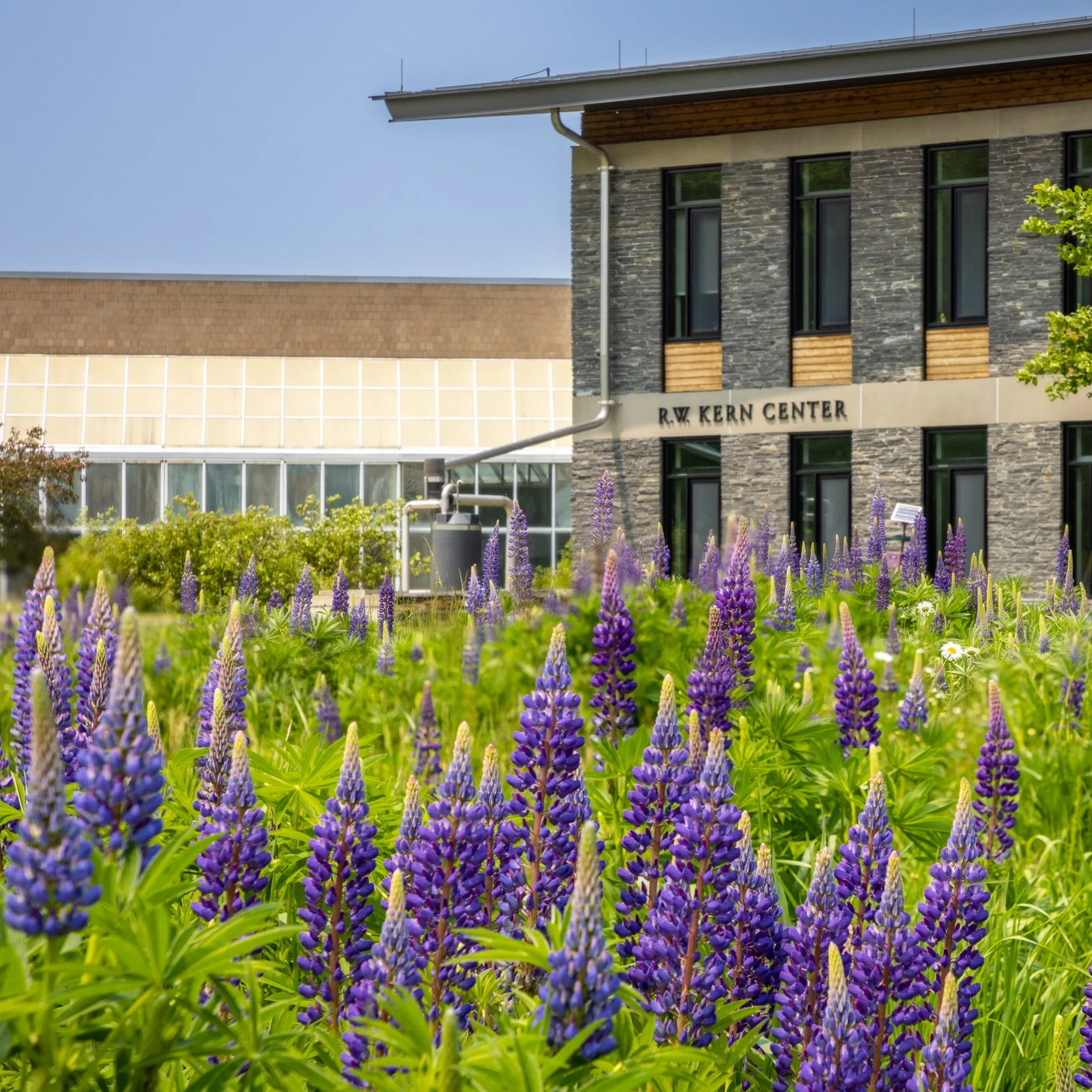 Hampshire College