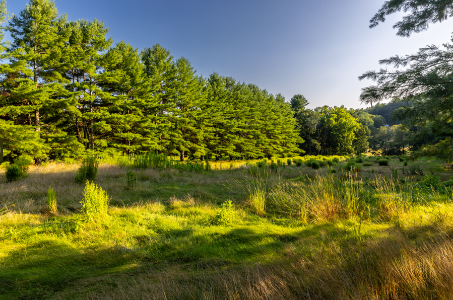 Rocky Hill Greenway