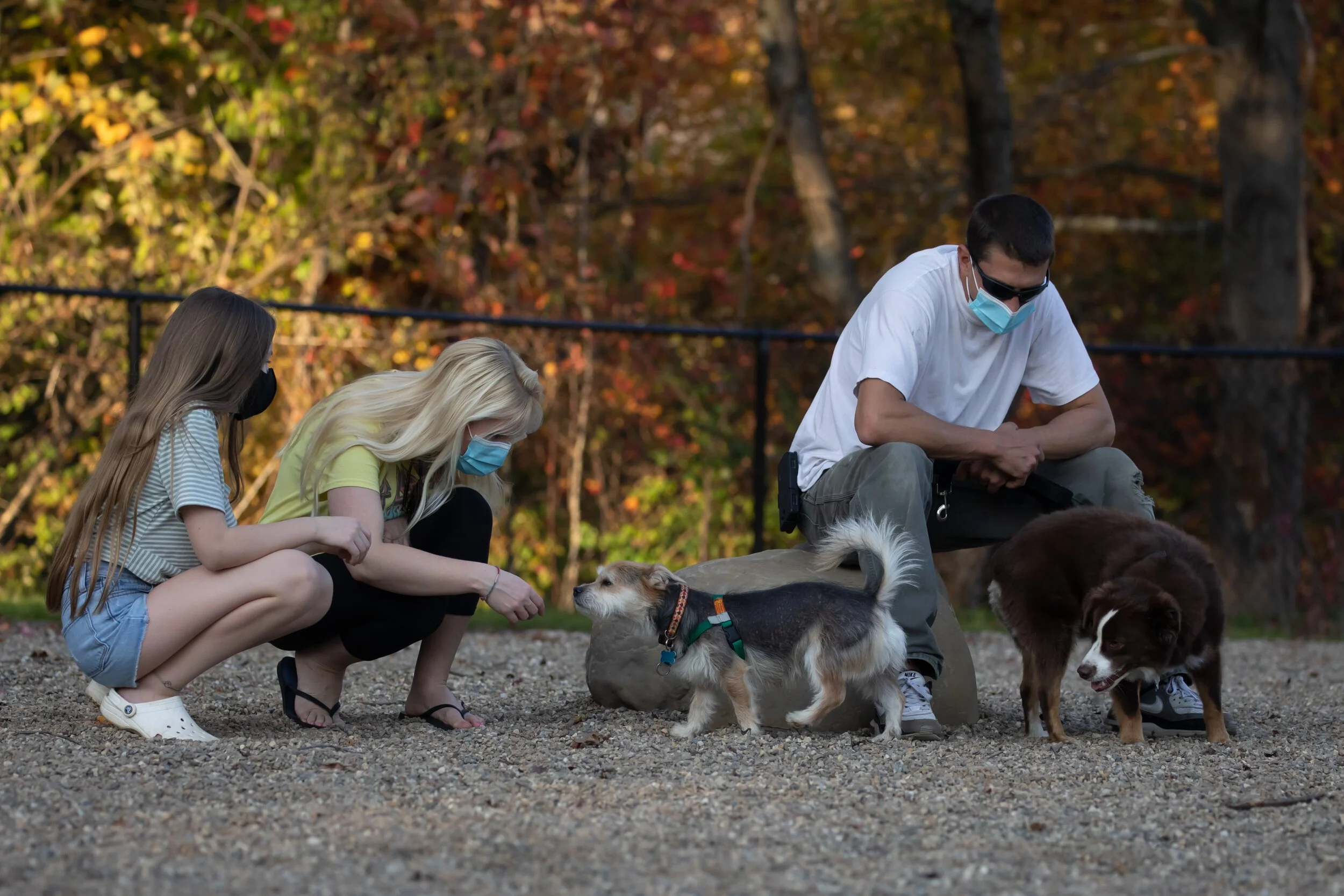South Hadley Dog Park