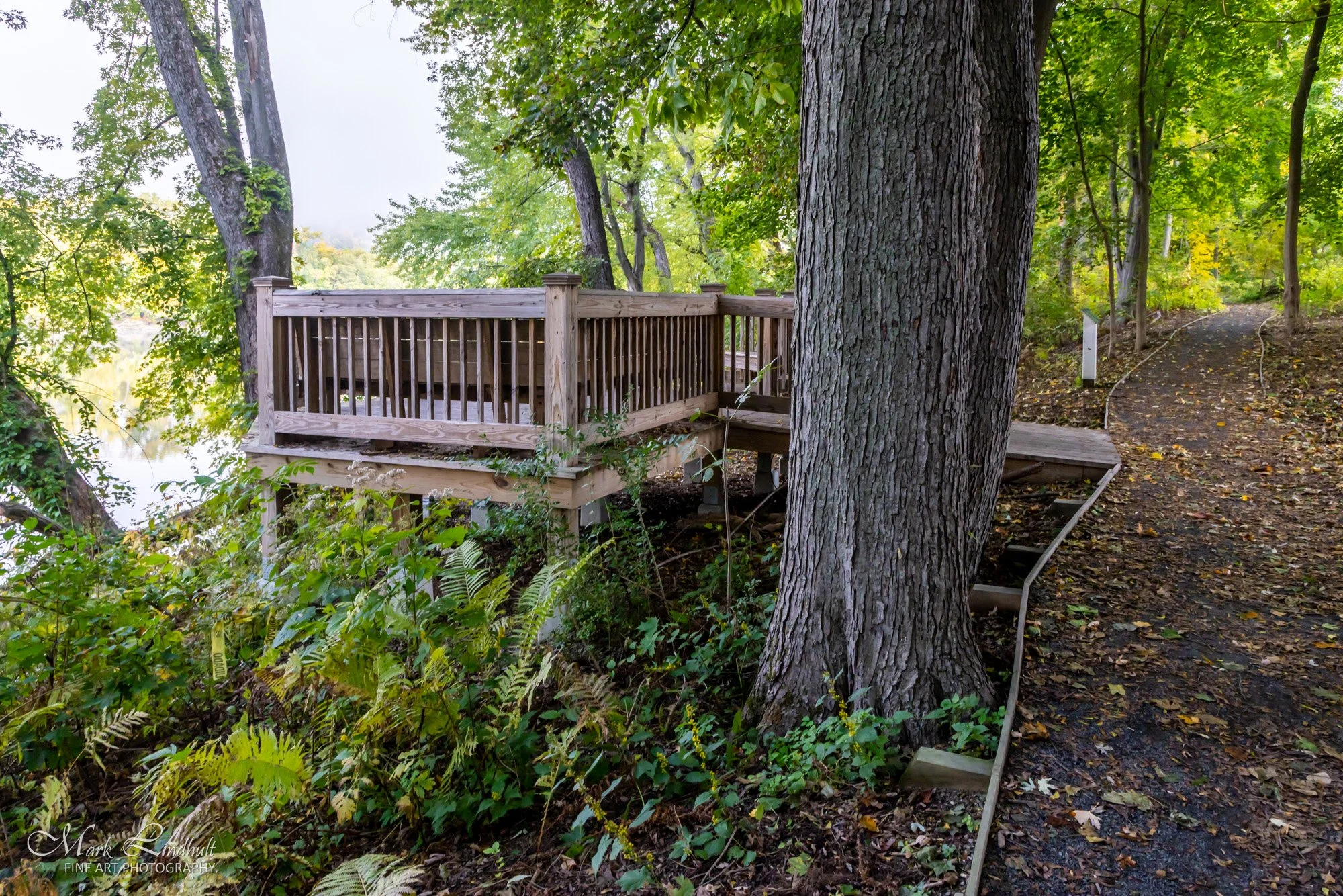Sunderland Riverside Park