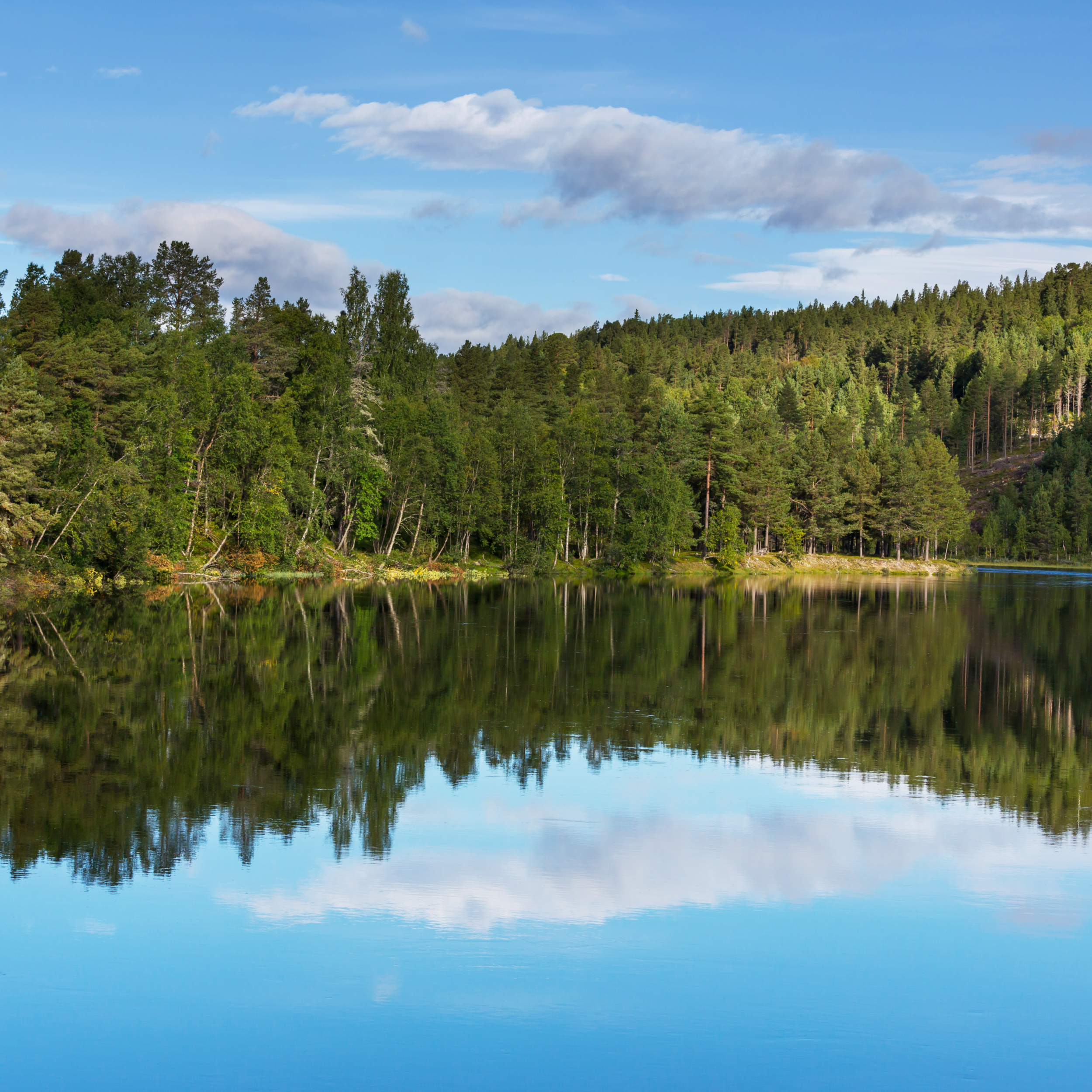 Calm lake reflecting a forest of tall green trees under a mostly cloudy sky.