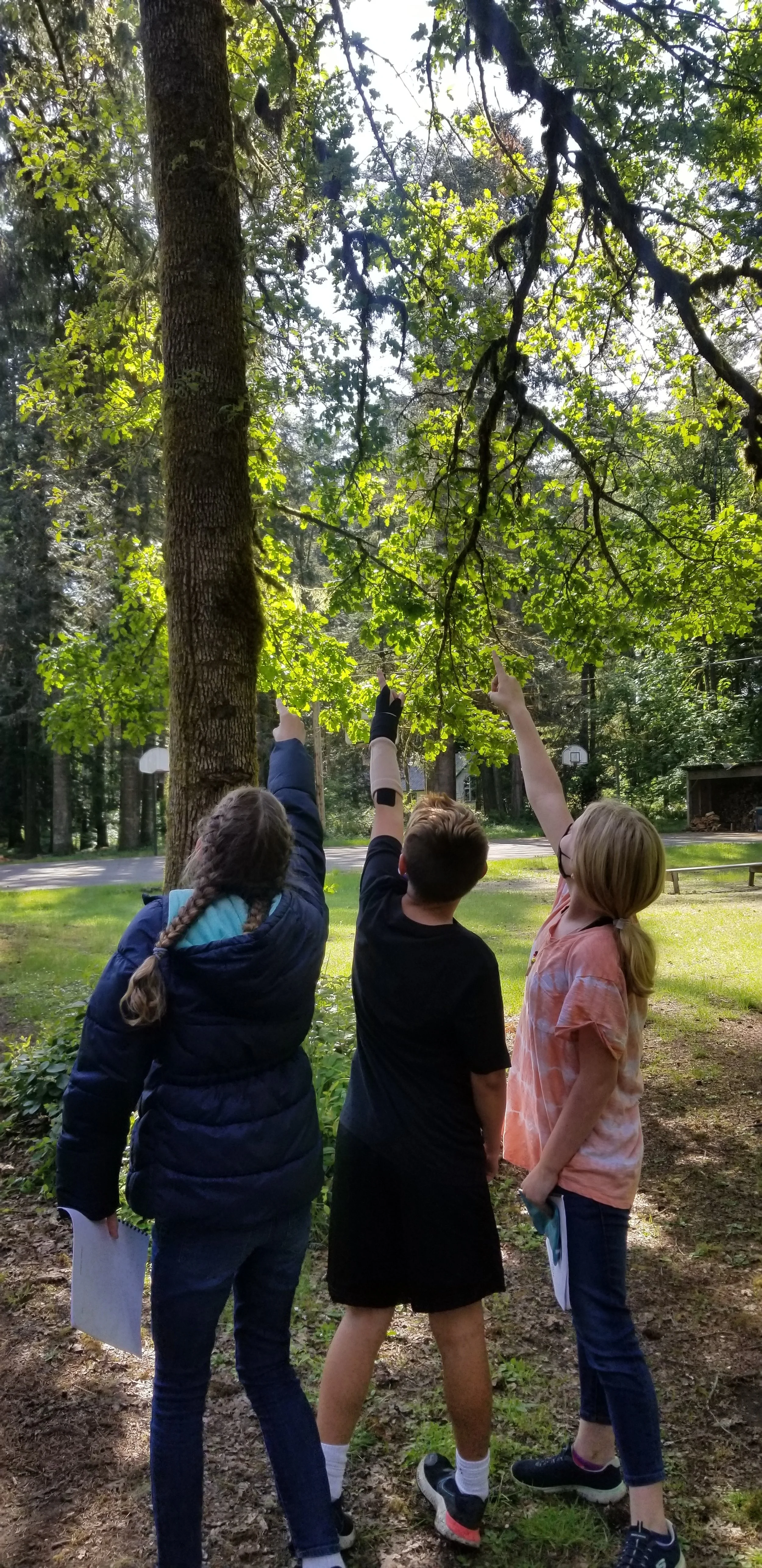 OE Reach for the Sky '21.jpg