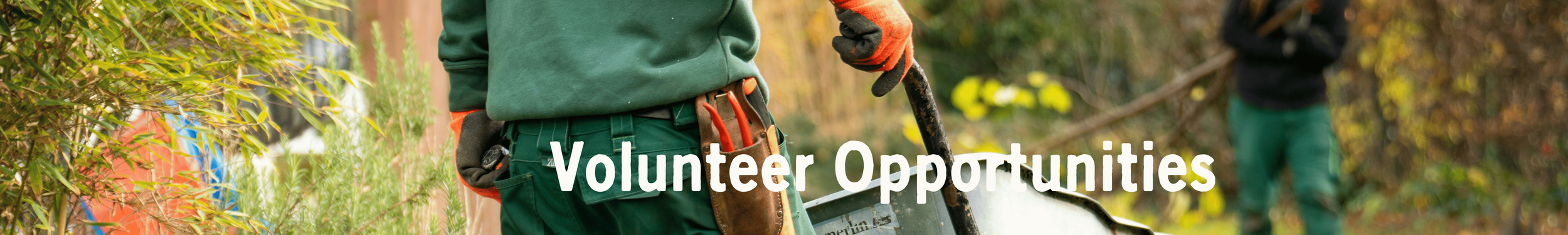 Homepage Banner 4.png