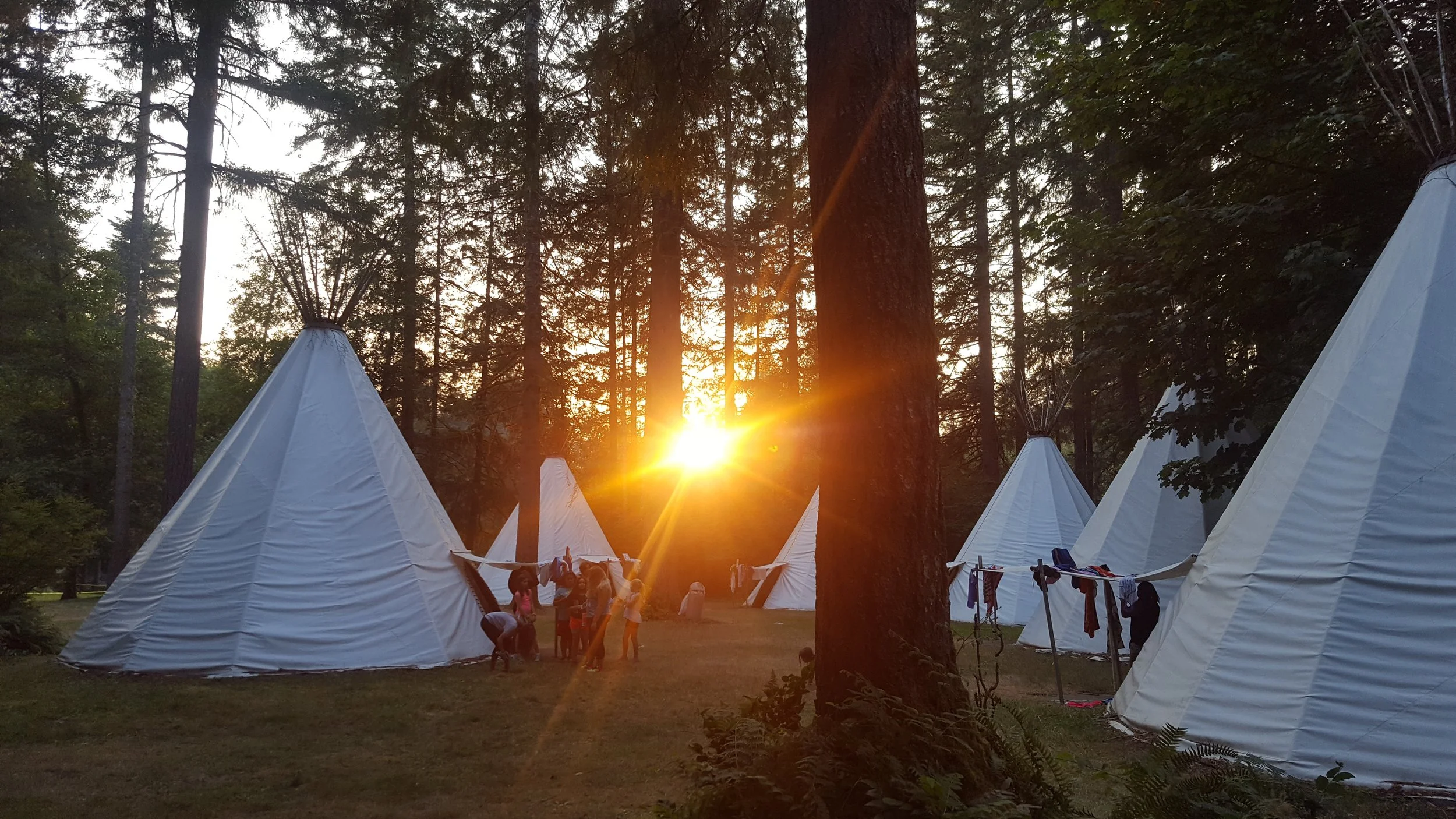 Sunset over a forest with white teepees in a campsite and a group of people enjoying the evening.