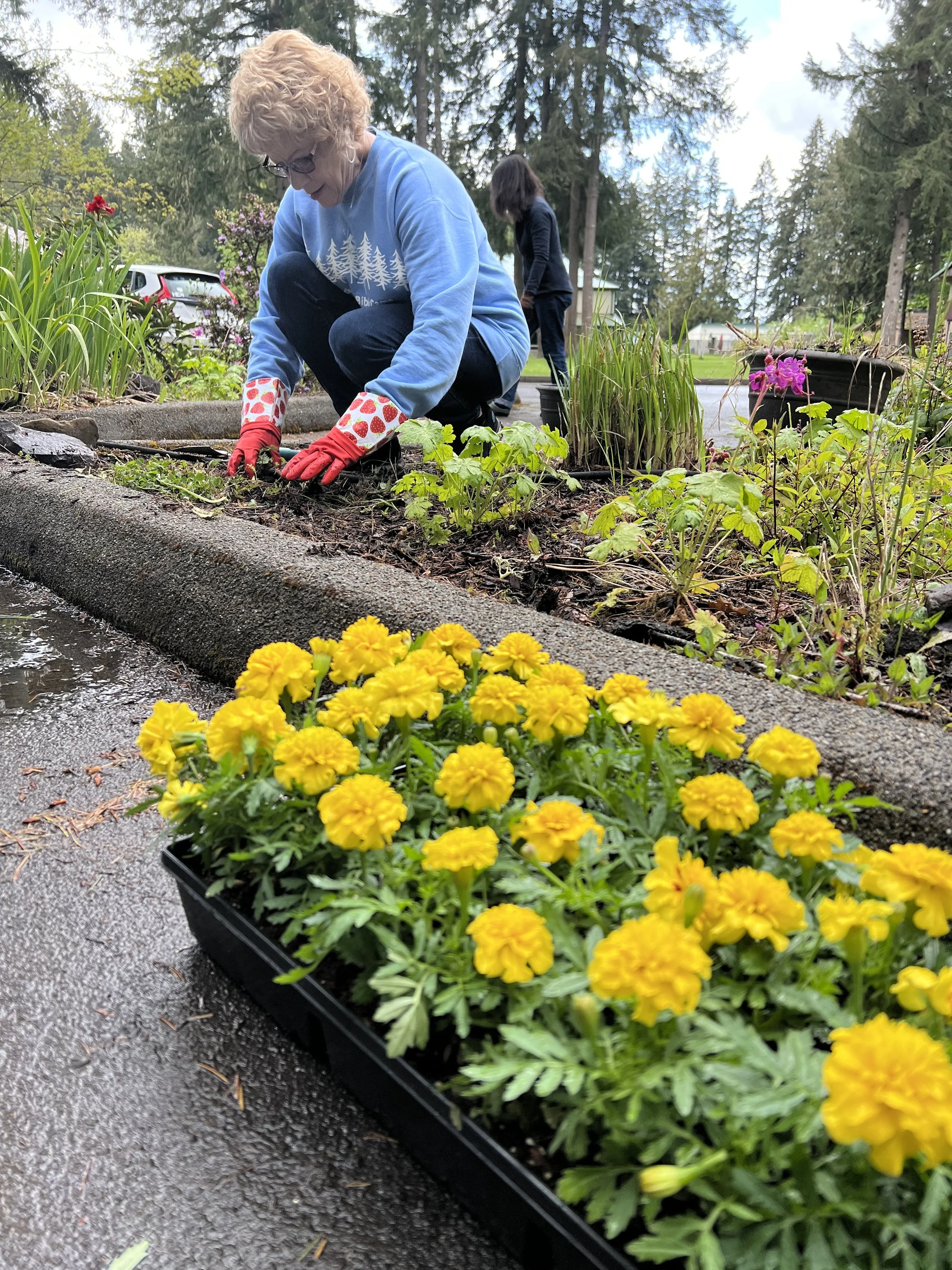 DV Planting '24.JPG