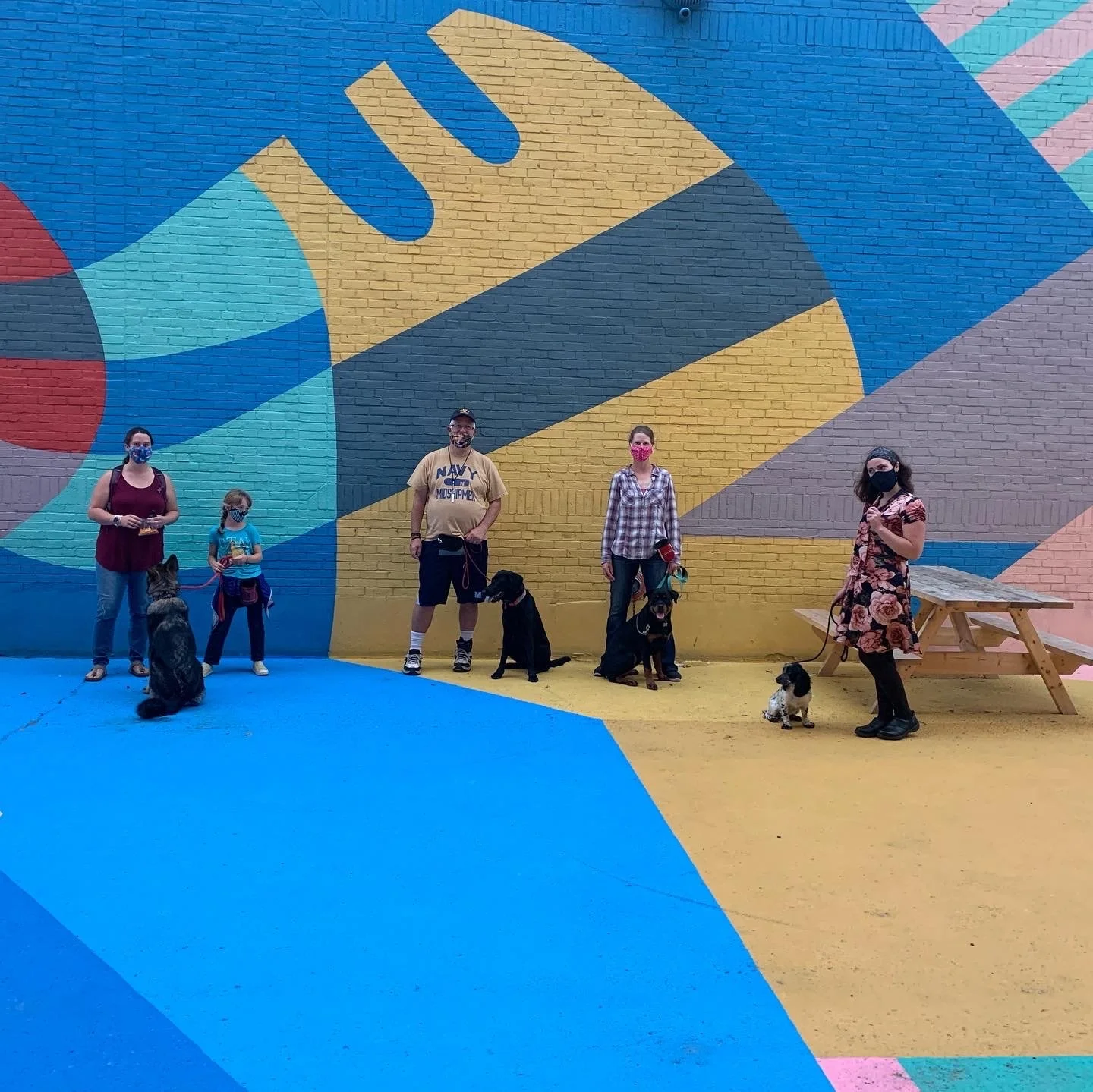 Mid Coast Dog Training