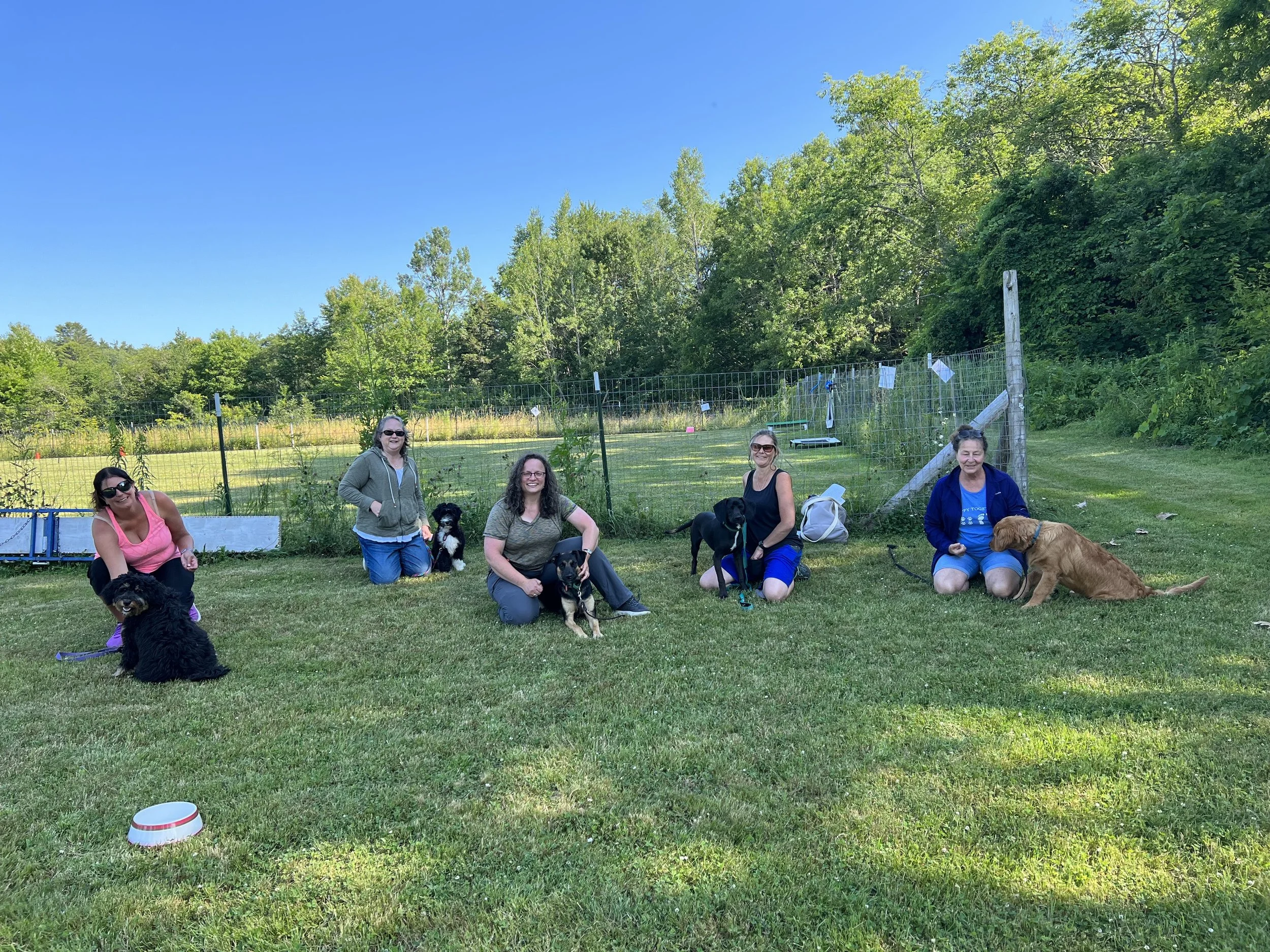 Mid Coast Dog Training