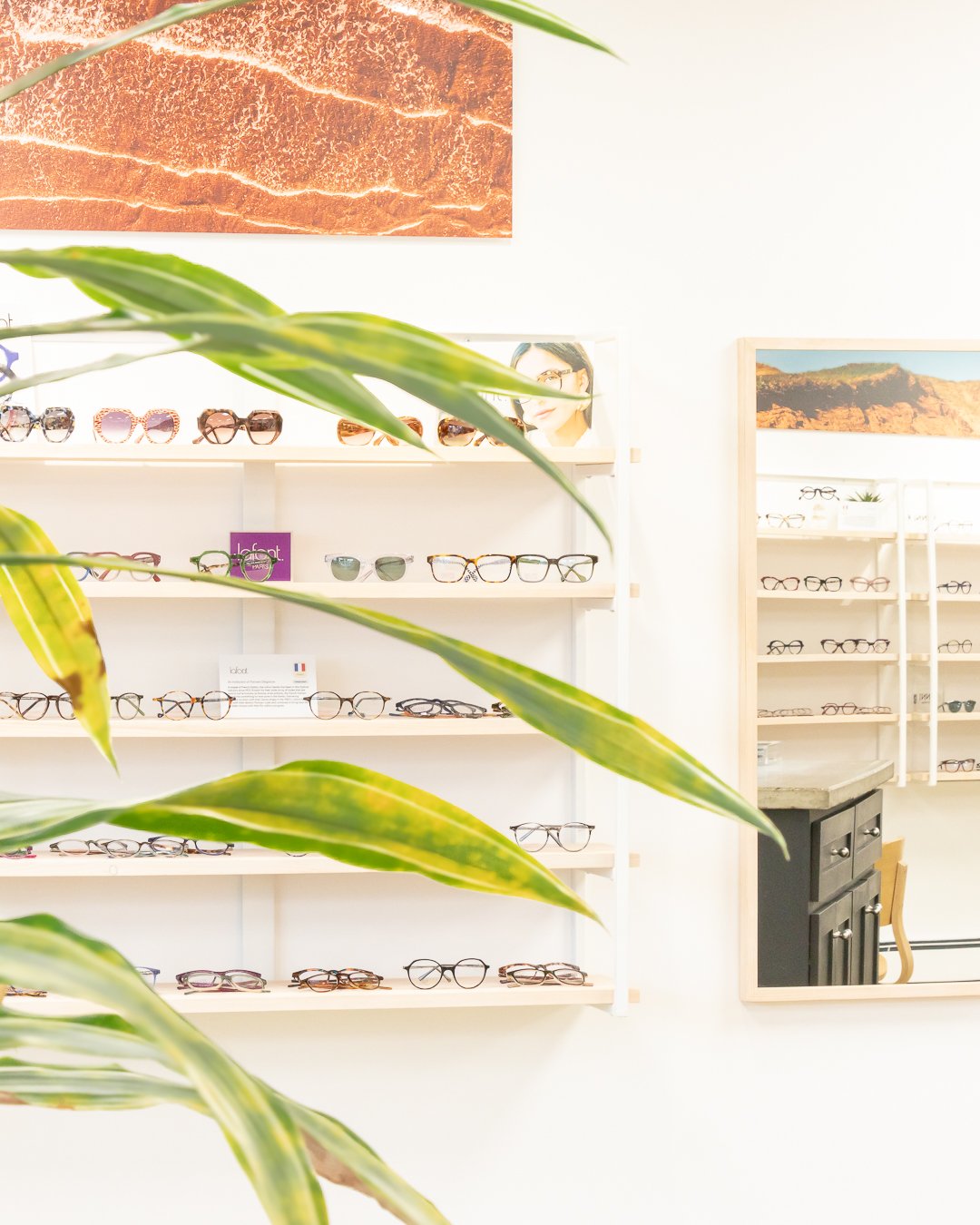 Through the Leaves. 🌿👁️👓