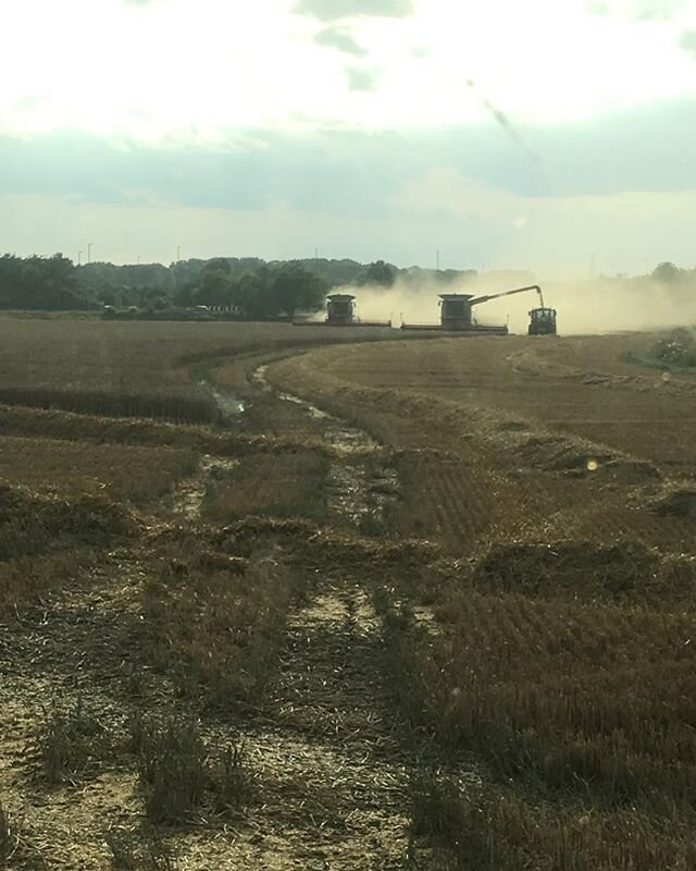 #Harvest2019 is GO GO GO!