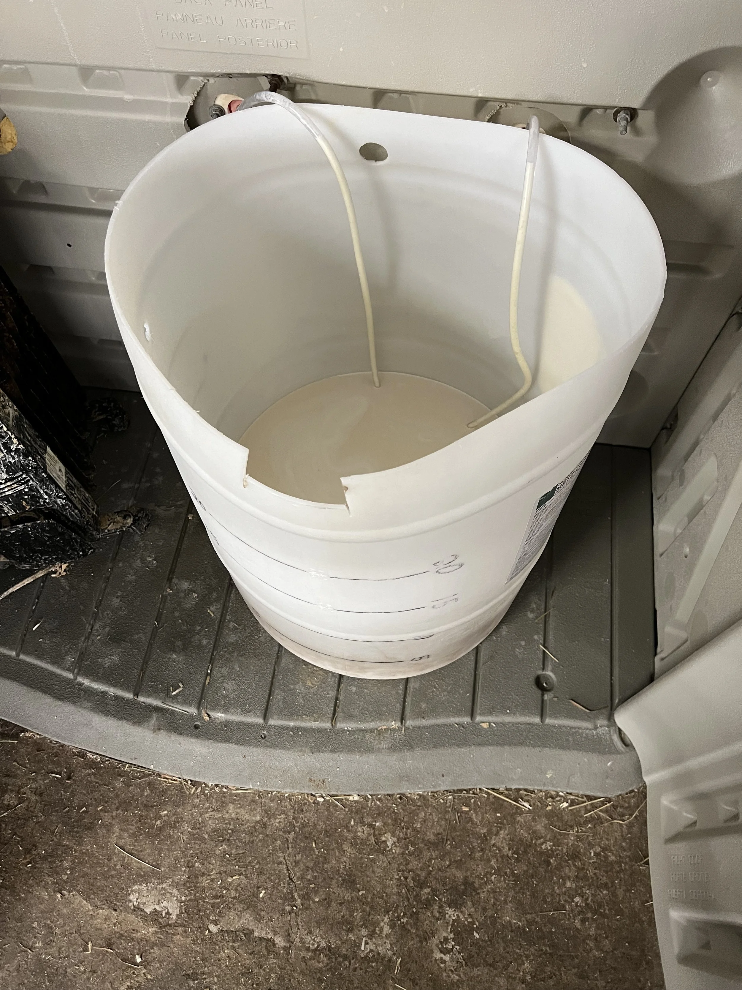 Mob Feeder - Kelly Dairy #1 - 2-16-23.jpg