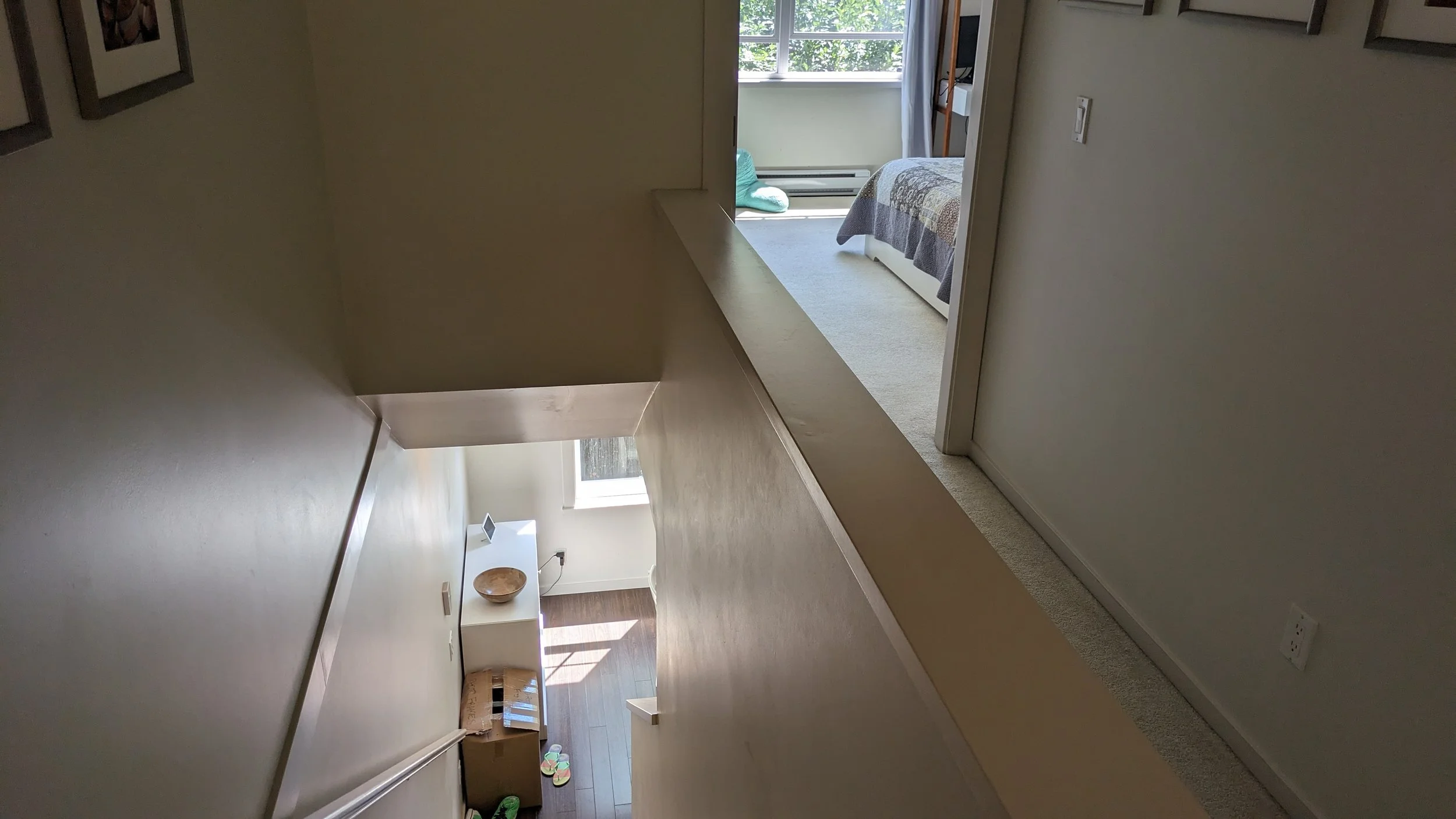 PXL_20250801_212009138.jpg