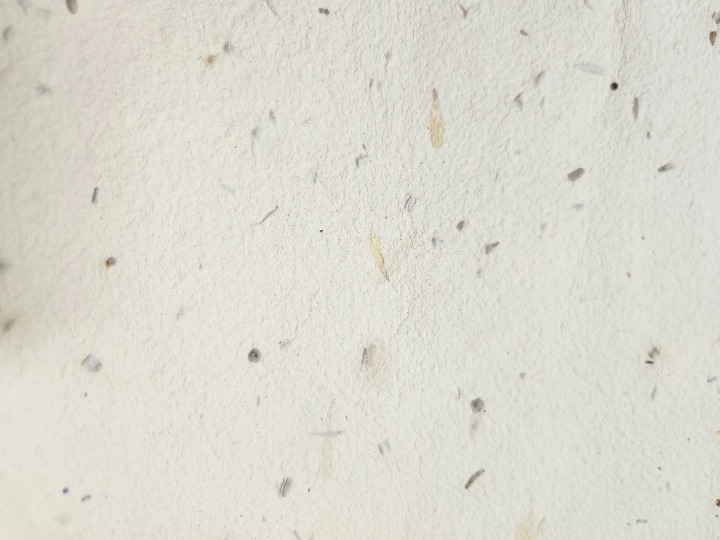Inclusions2.jpg