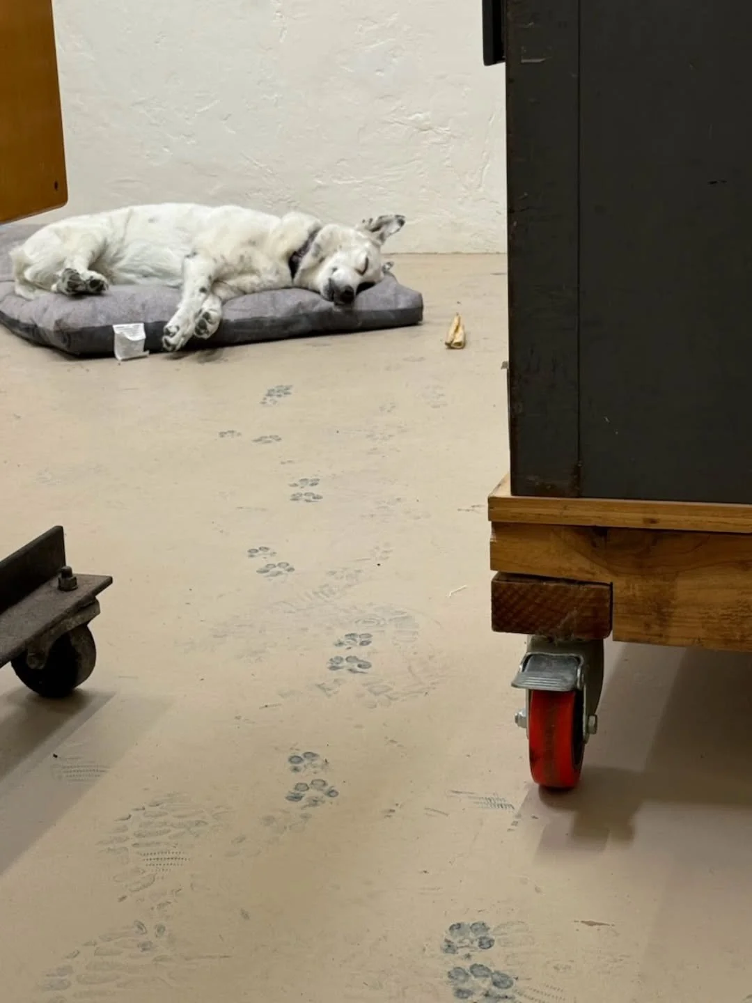 Operations Supervisor Ramona takes a well-earned rest after a rigorous inspection of the Indigo dye station 🐾

📷: @copticcowgirl