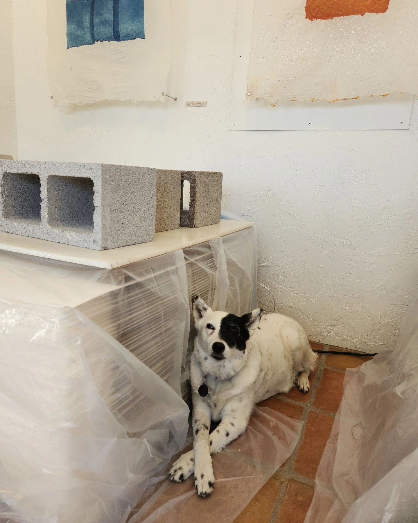Ramona hard at work, supervising the stack dryers.