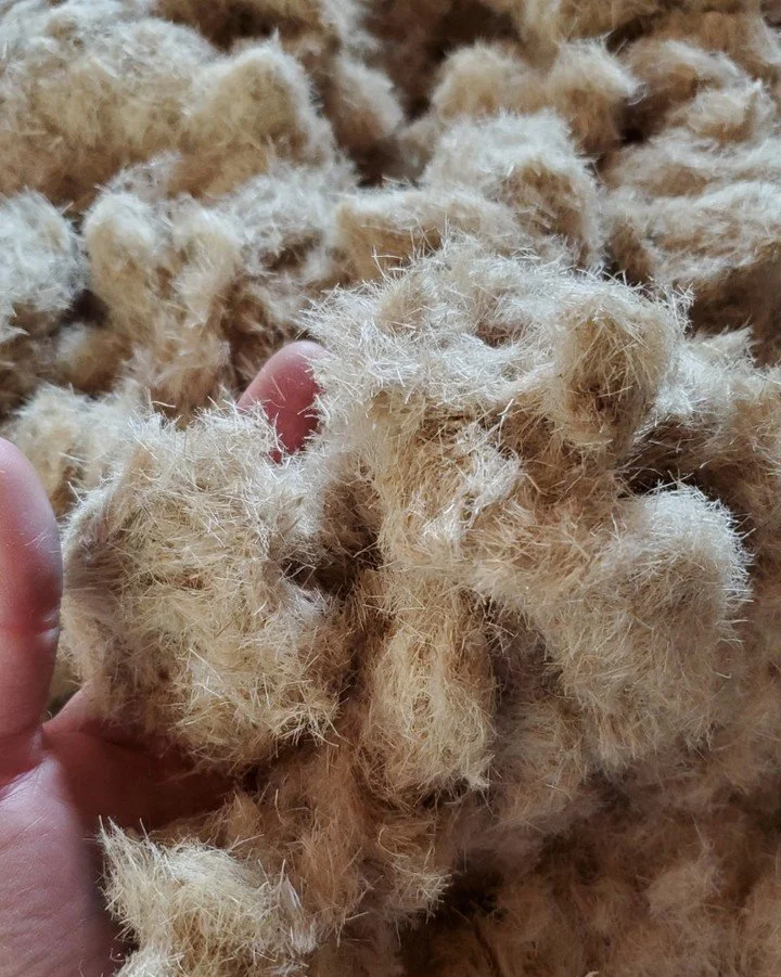 Flax! This beautiful fiber is the basis for (almost) every design in the Cave Paper catalog. It is the magic ingredient behind the paper's strength, texture, and durability.

Aside from its material beauty, flax is also one of the most sustainable na