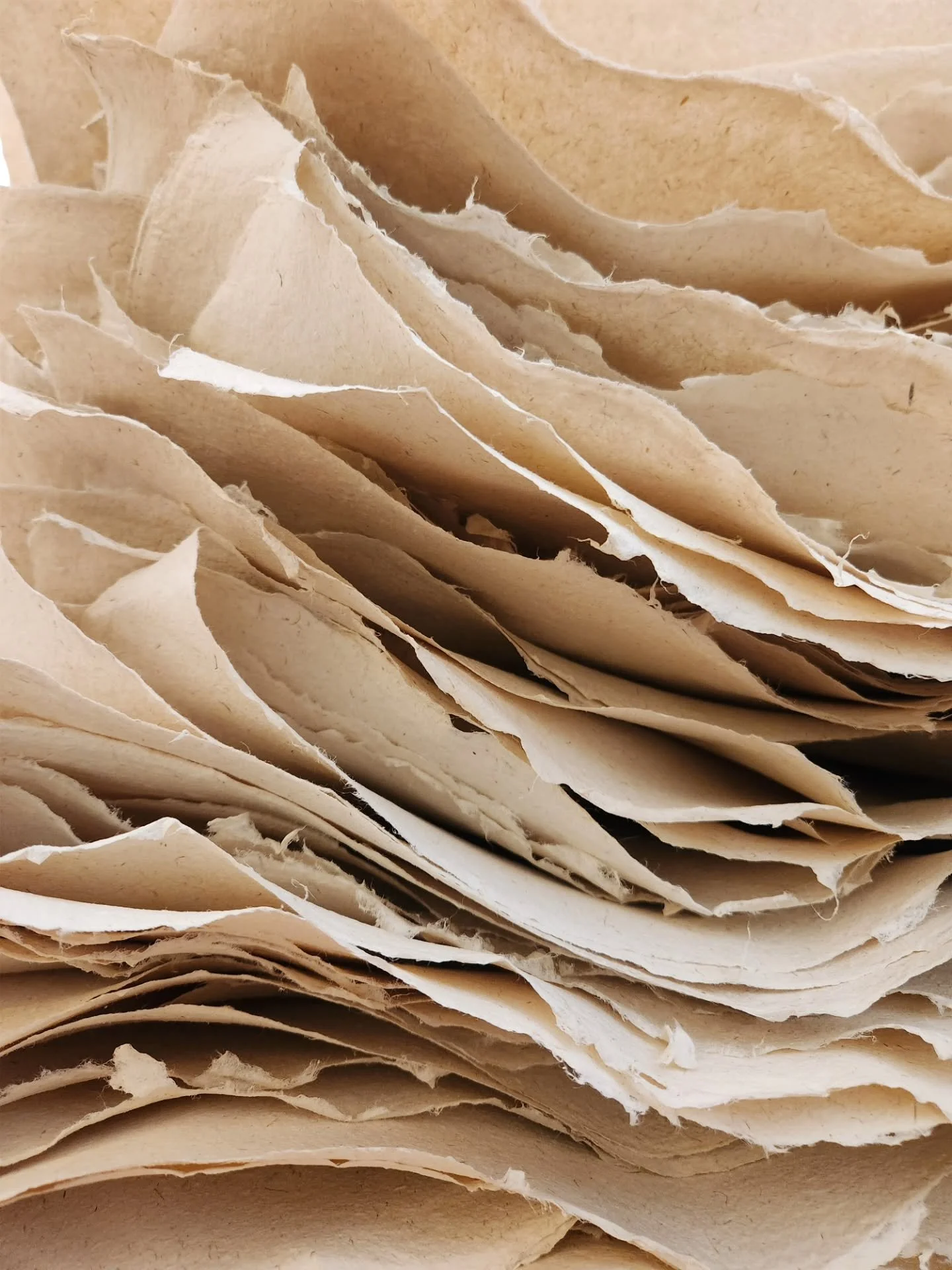 Last chance to pre-order your Cave Paper with @hiromipaper and @talasonline for our October restock! This month flew by, and the August 1 pre-order deadline is just around the corner.

We now restock all our designs with Hiromi Paper and TALAS in the