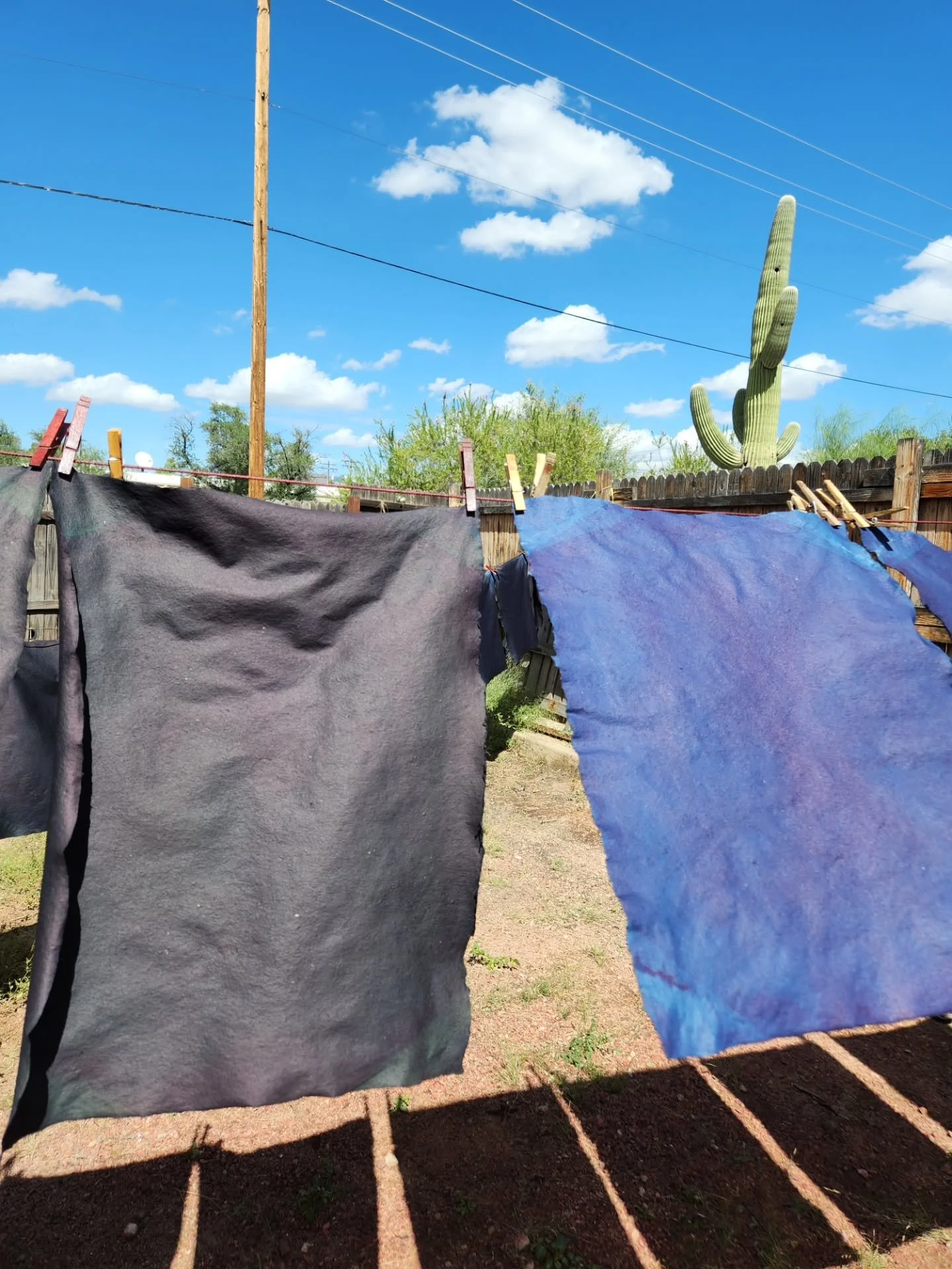Monsoon and Indigo, After and Before (respectively) our pomegranate rind dye has been applied. Loving working outside on this sunny fall day, after the last hurrah of monsoon rains rolled through.