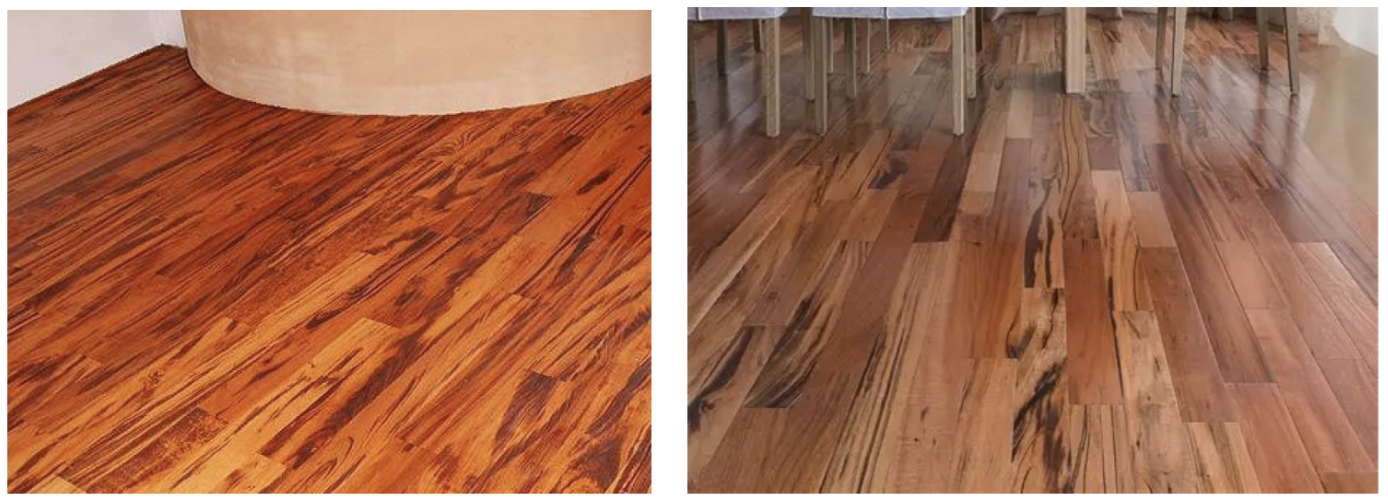 Zebrawood, The Design Brief, What to Know About Exotic and Unusual Wood Species, Best Blog For Interior Designers, Dakota Design Co.png