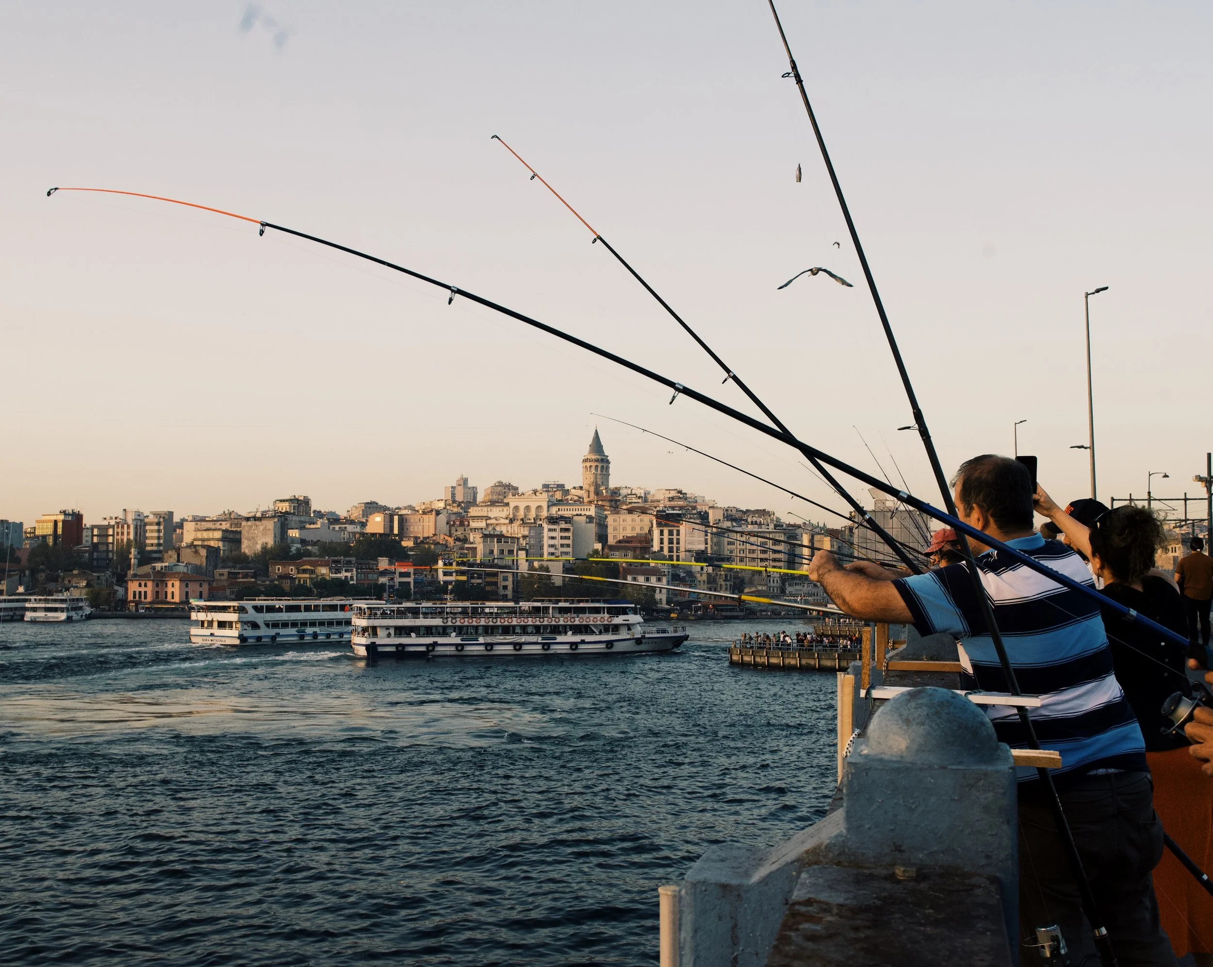 C3737B2F-E8FD-4D5C-9E6A-1C370437DA71 2.JPG