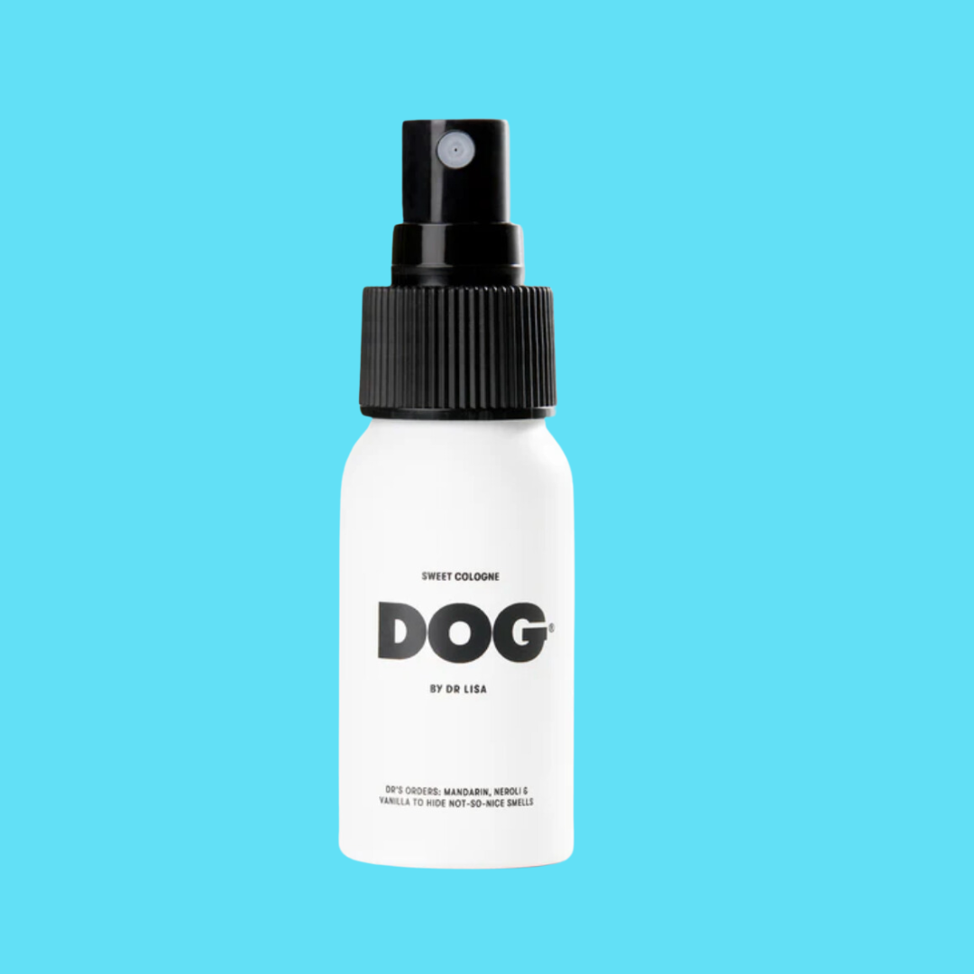 Individual MINIS from DOG by Dr Lisa