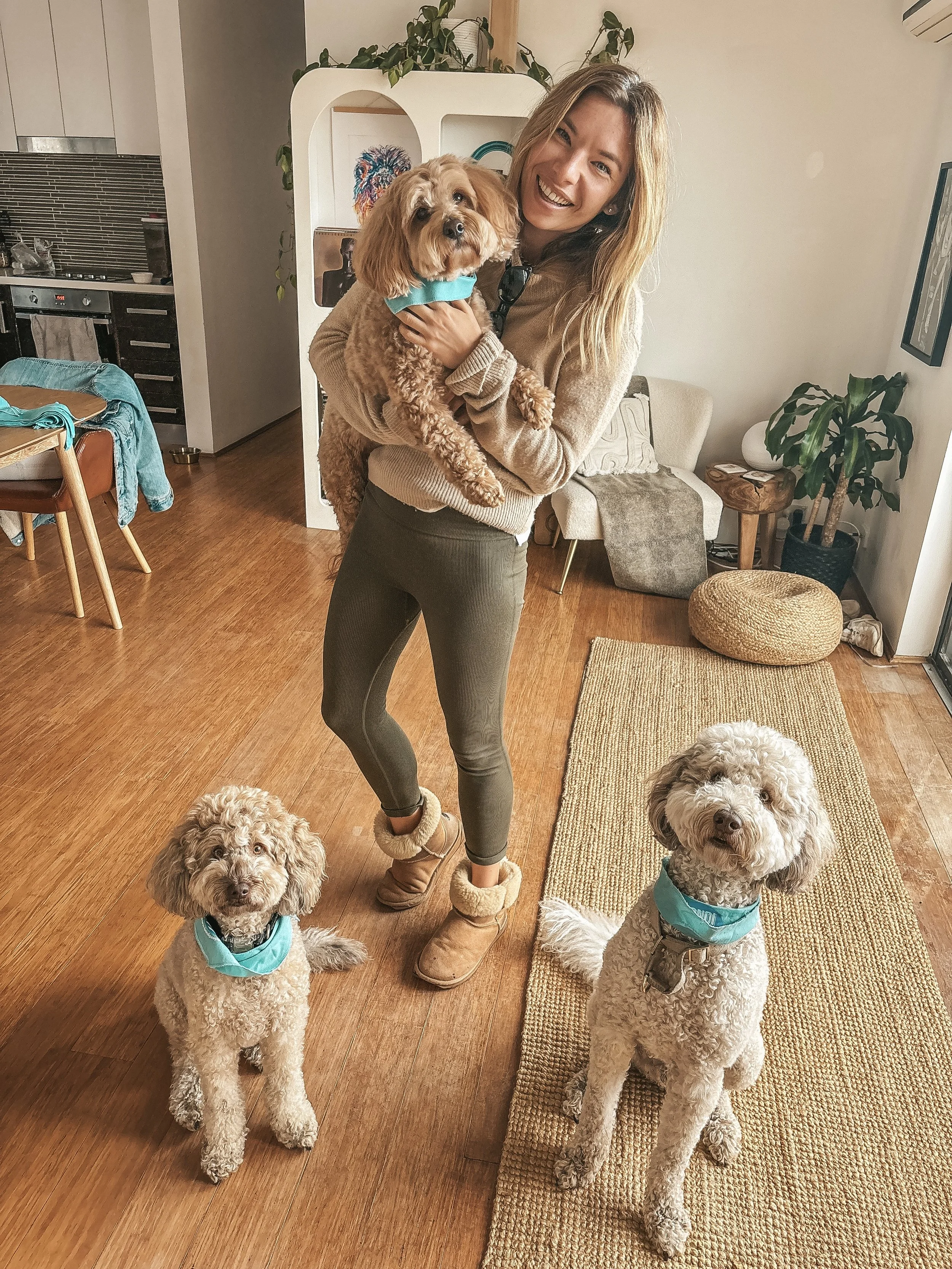 Smiling woman holding a small curly-haired dog with a blue bandana, two larger curly-haired dogs with blue bandanas sitting on wooden floor, inside a cozy living room.