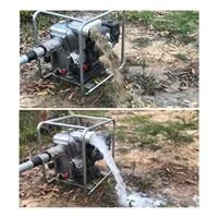 before and after tank clean.jpg