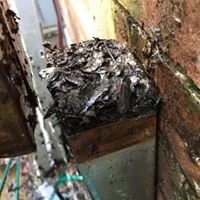 blocked downpipe.jpg