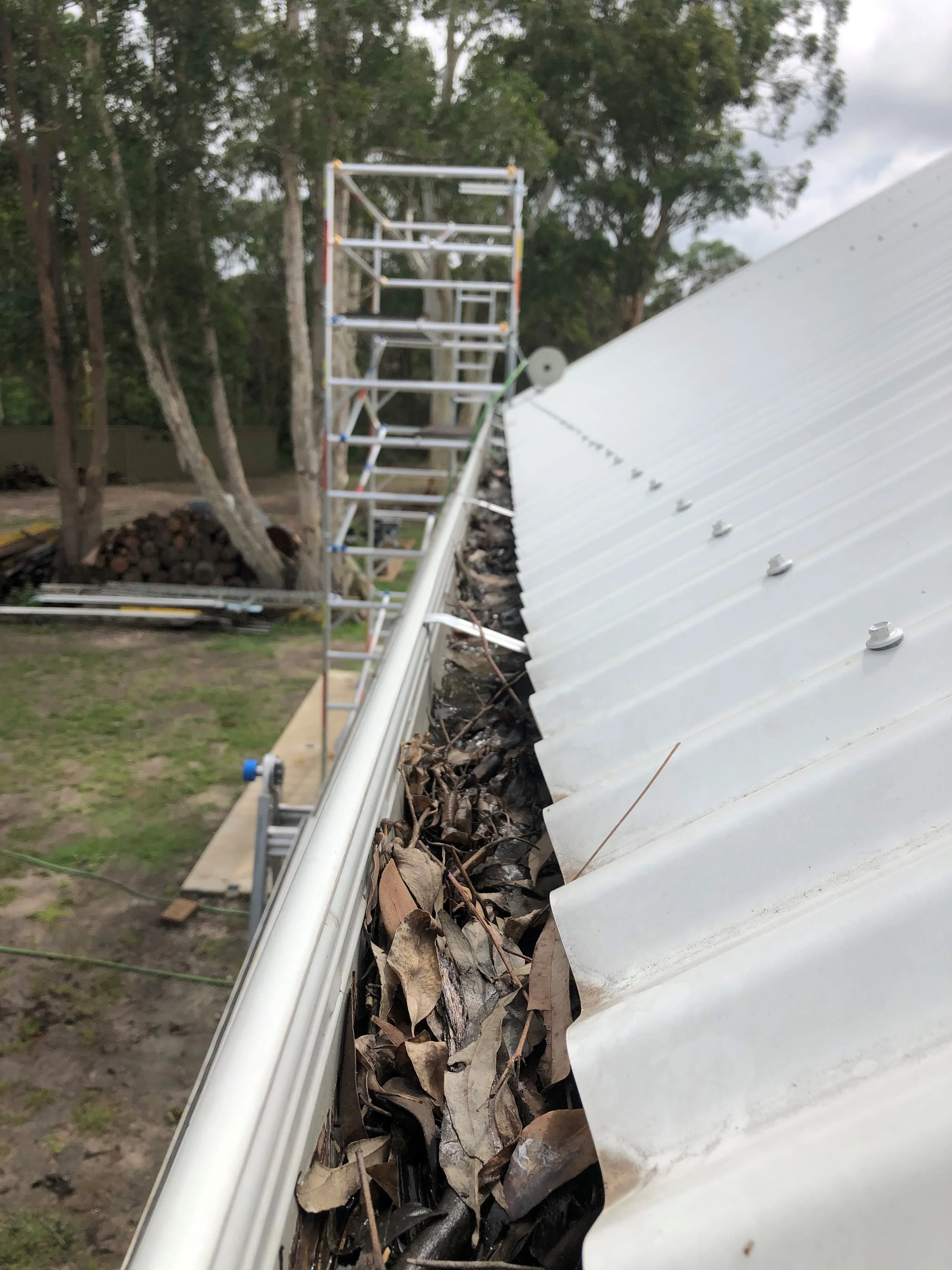 gutter leaf 1 (2).jpg