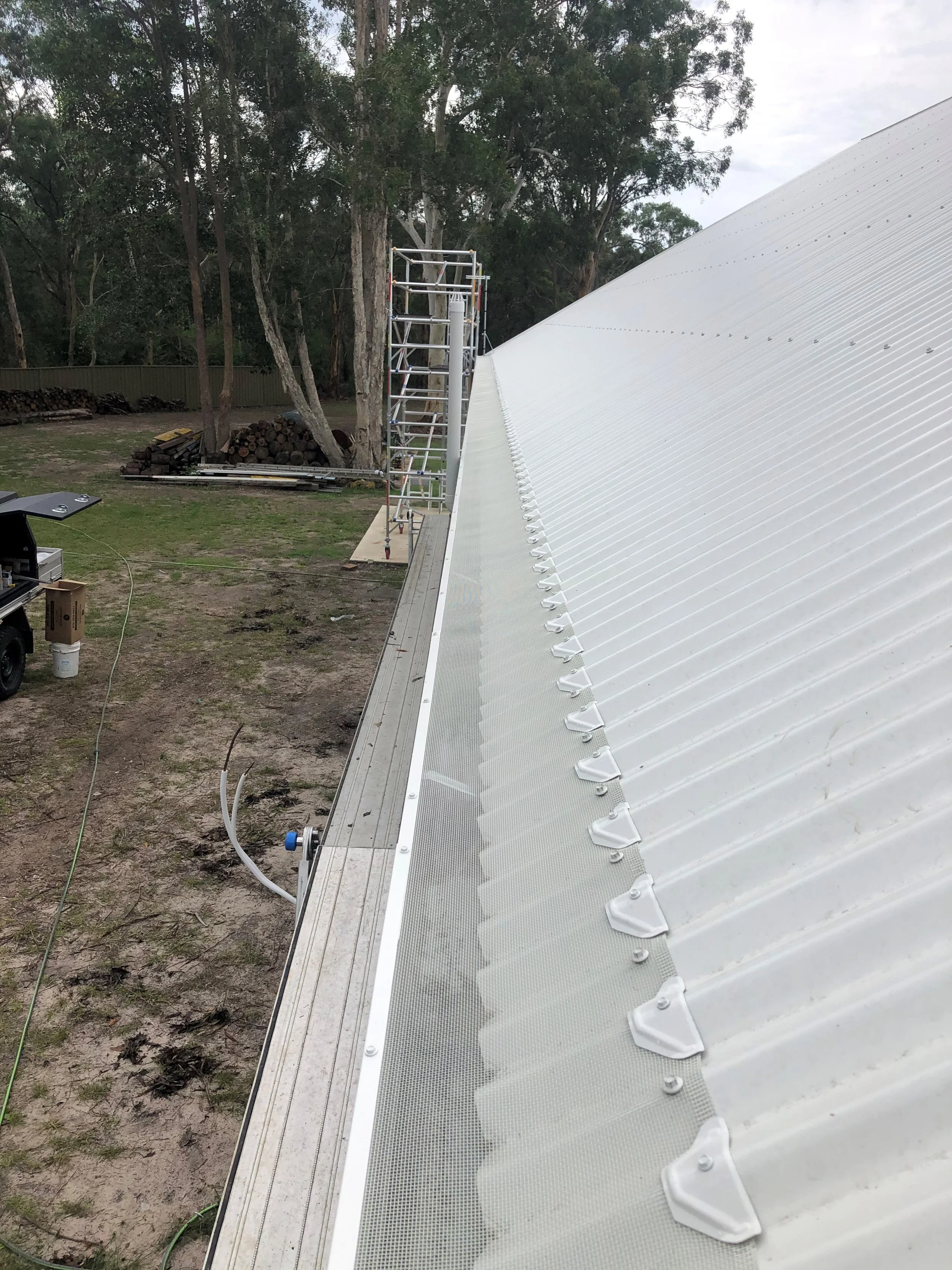 gutter mesh 3 (2).jpg