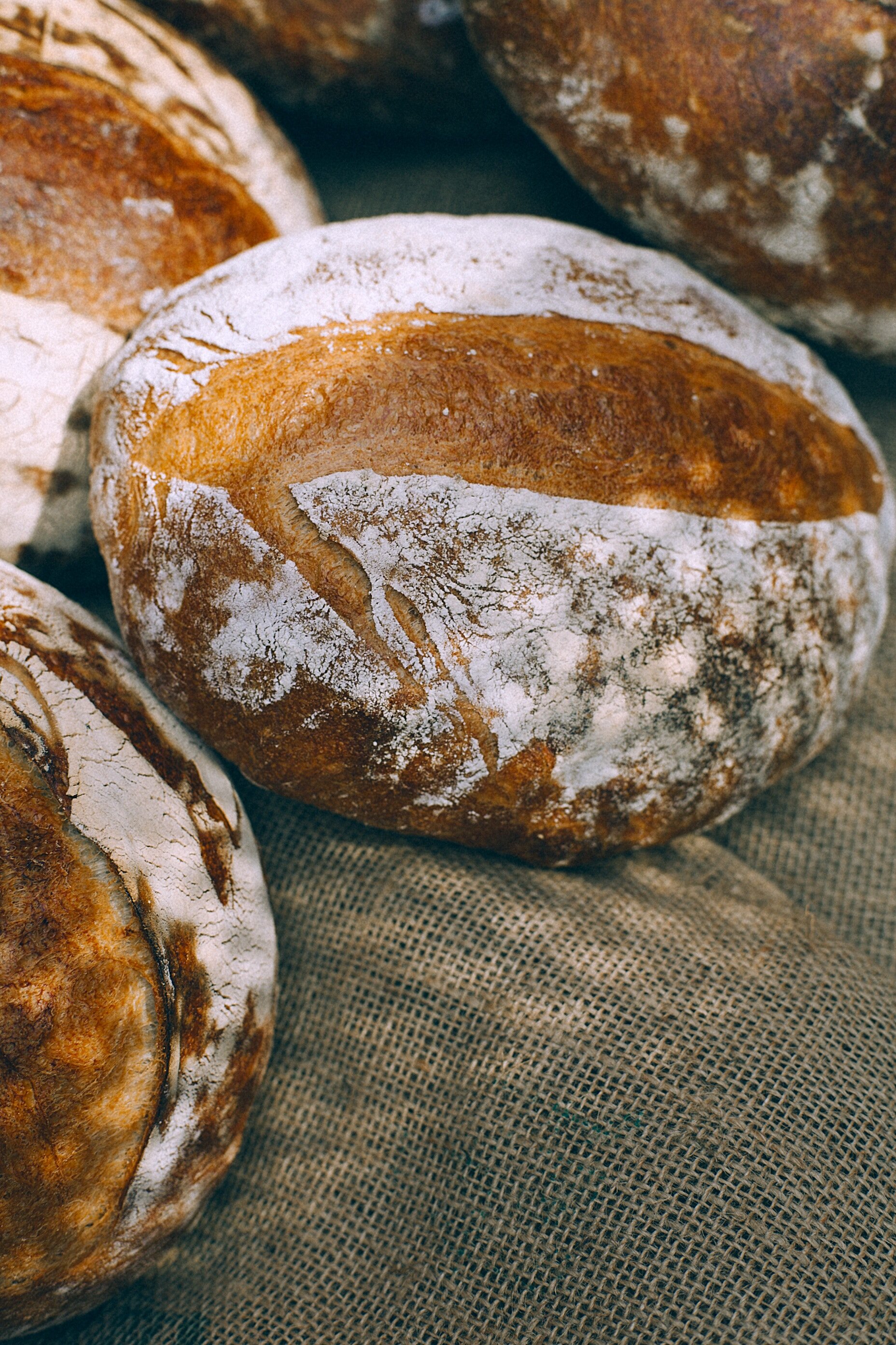 The Bread of Life