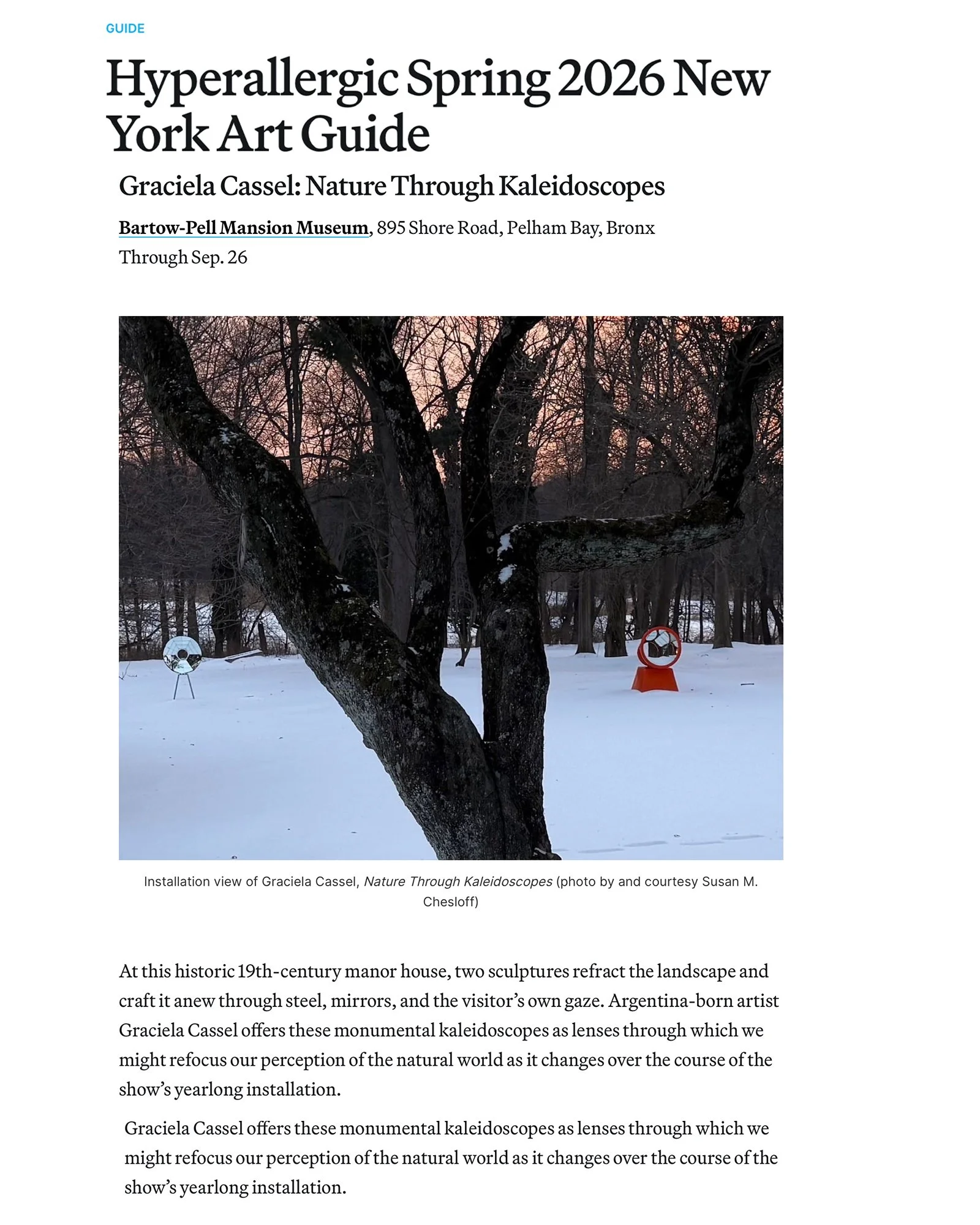 2026- Hyperallergic 2026 New York Art Guide: .Nature through Kaleidoscopes